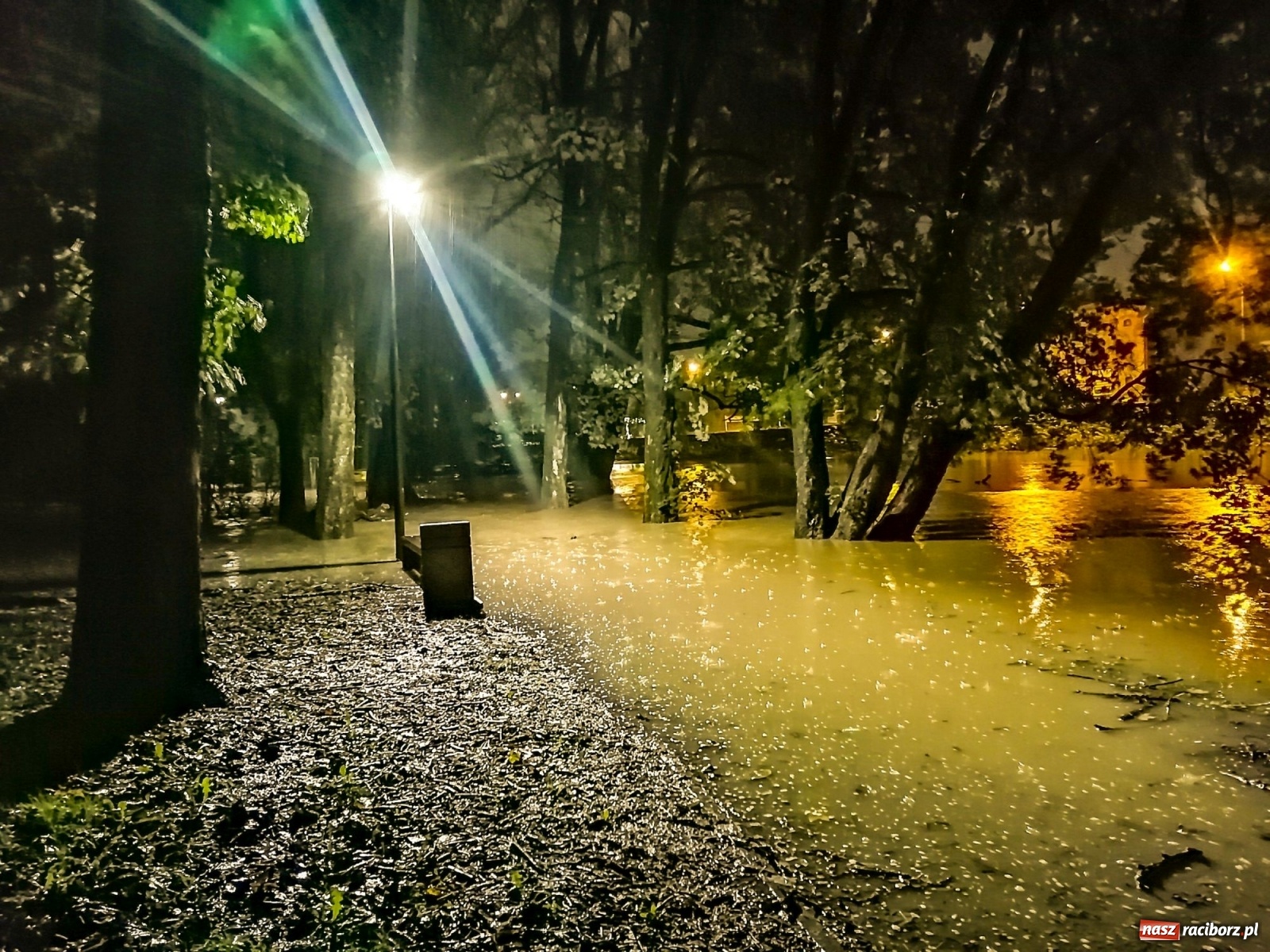 Zdjęcie w galerii na portalu naszraciborz.pl: Wezbranie na Odrze miejskiej w Raciborzu nocą [14.10.2020]  wiadomości z regionu