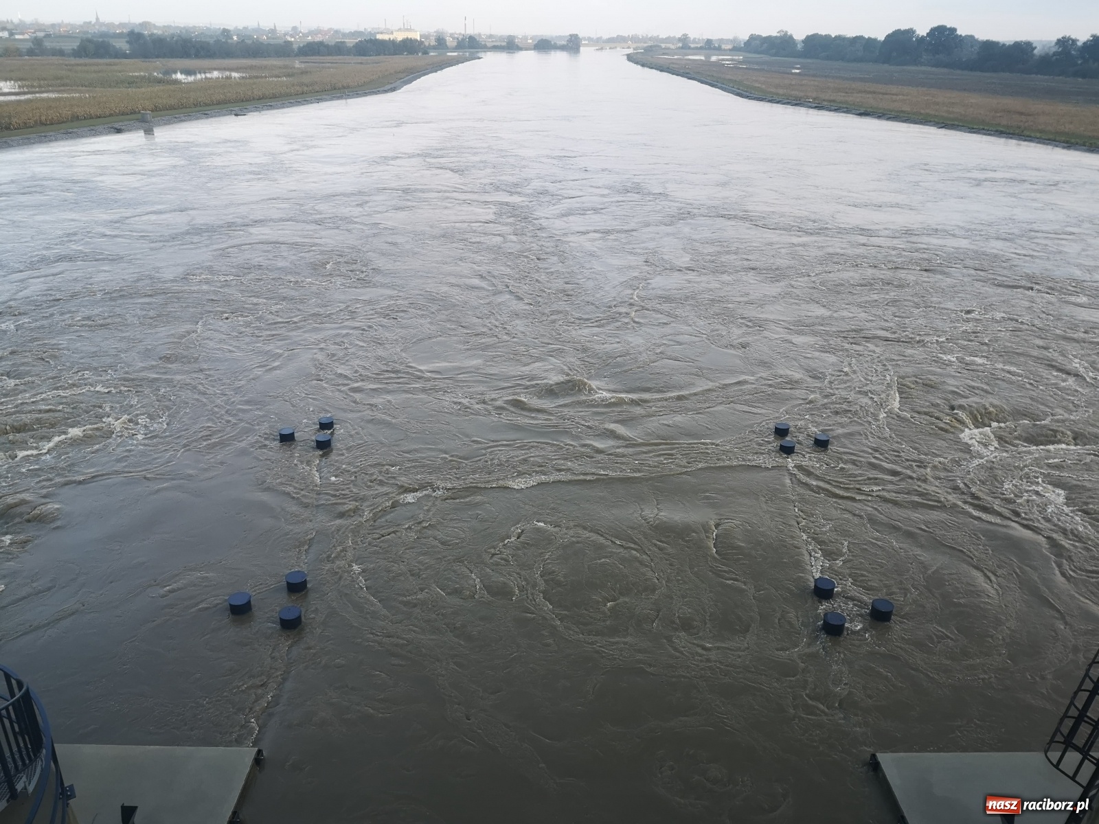 Zdjęcie w galerii na portalu naszraciborz.pl: Zbiornik Racibórz - zdjęcia i film z poranka 15.10.2020  wiadomości z regionu