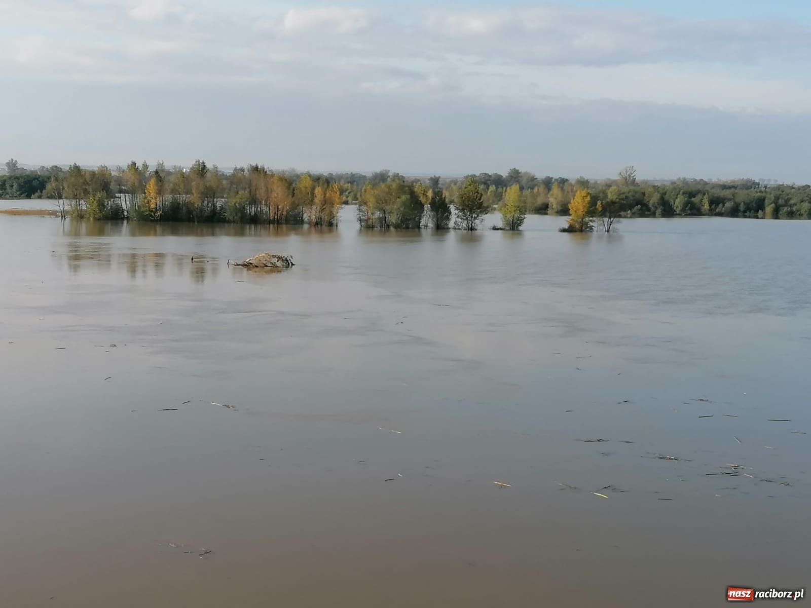 Zdjęcie w galerii na portalu naszraciborz.pl: 25 lat po wielkiej powodzi. Czy jesteśmy dziś bezpieczni? wiadomości z regionu