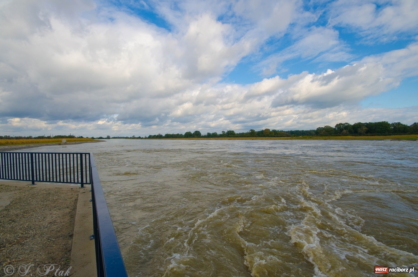 Zdjęcie w galerii na portalu naszraciborz.pl: Jak pracował zbiornik Racibórz Dolny? Wody Polskie podsumowują wiadomości z regionu