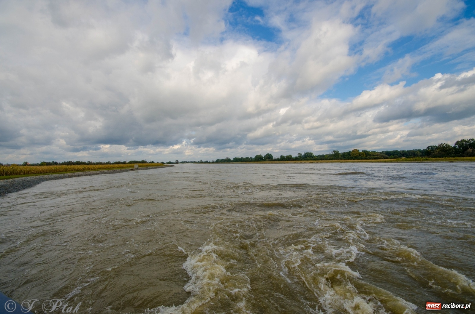 Zdjęcie w galerii na portalu naszraciborz.pl: Jak pracował zbiornik Racibórz Dolny? Wody Polskie podsumowują wiadomości z regionu