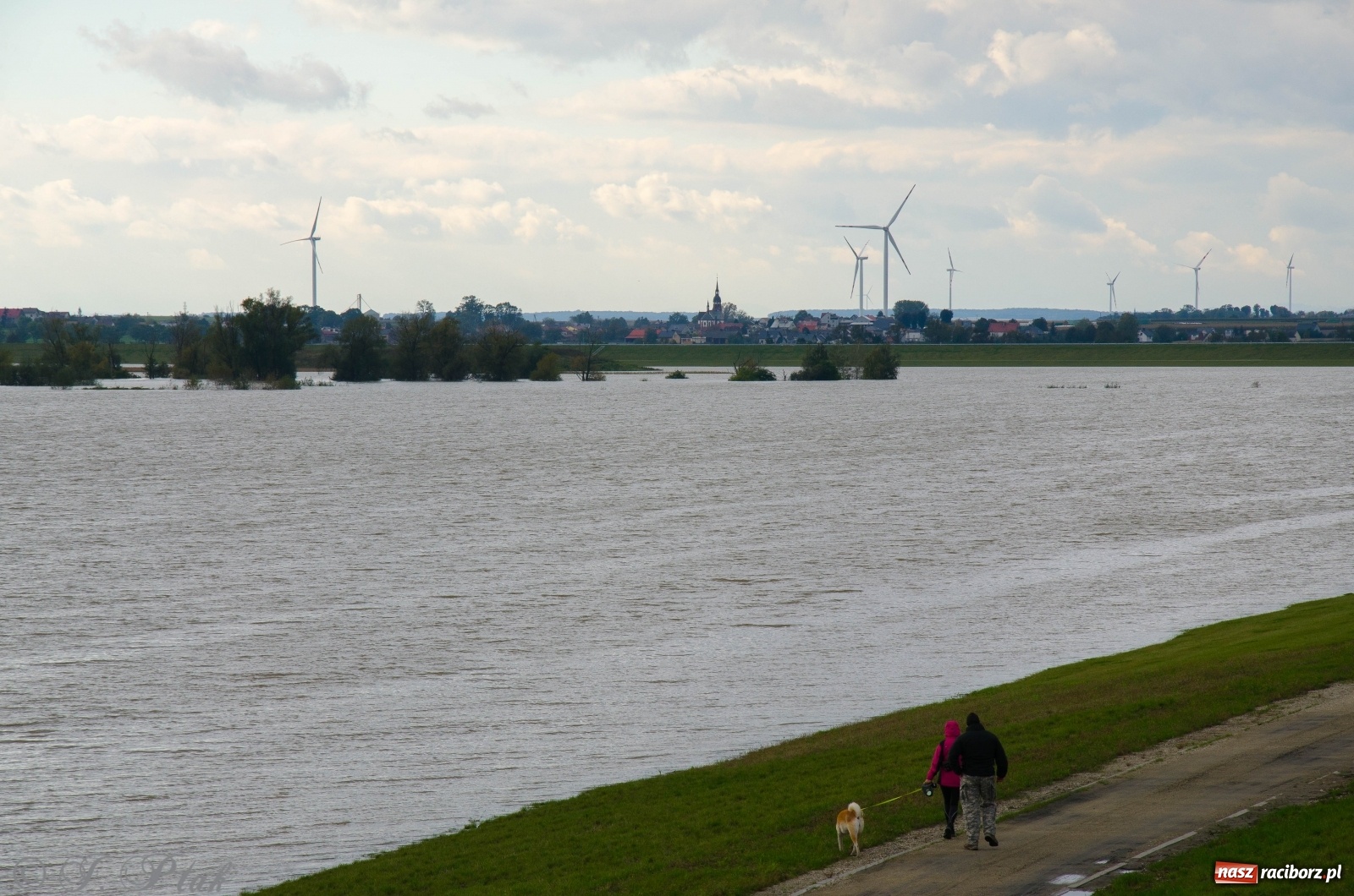 Zdjęcie w galerii na portalu naszraciborz.pl: Jak pracował zbiornik Racibórz Dolny? Wody Polskie podsumowują wiadomości z regionu