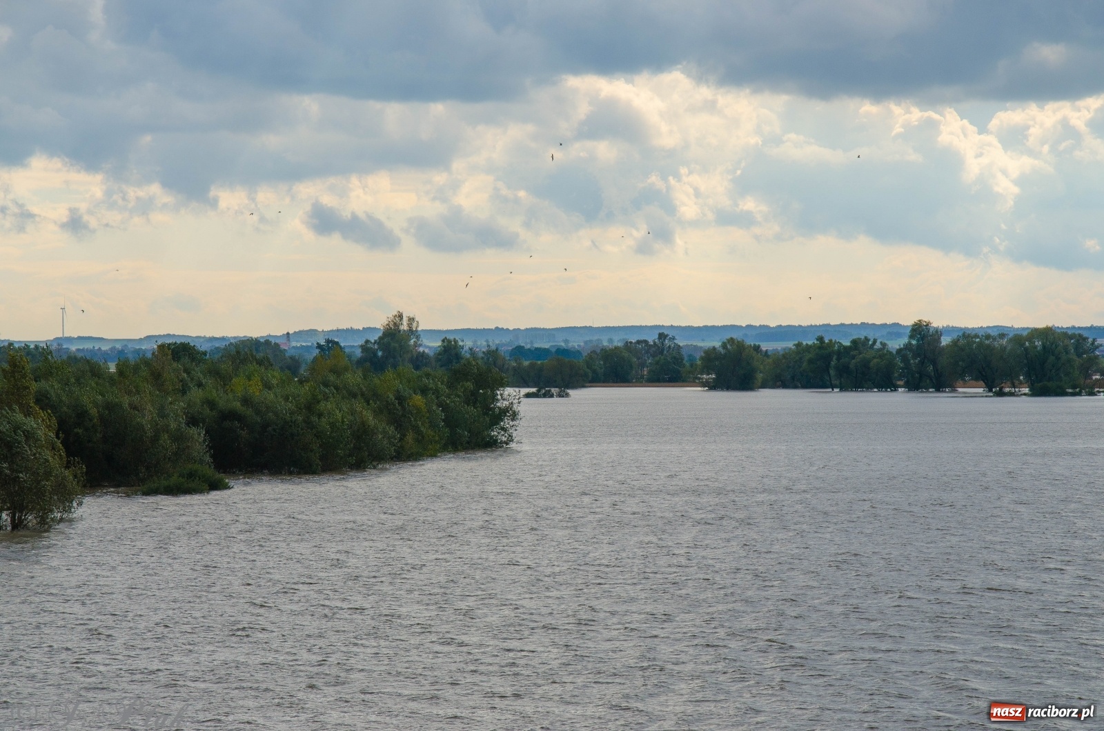 Zdjęcie w galerii na portalu naszraciborz.pl: Jak pracował zbiornik Racibórz Dolny? Wody Polskie podsumowują wiadomości z regionu