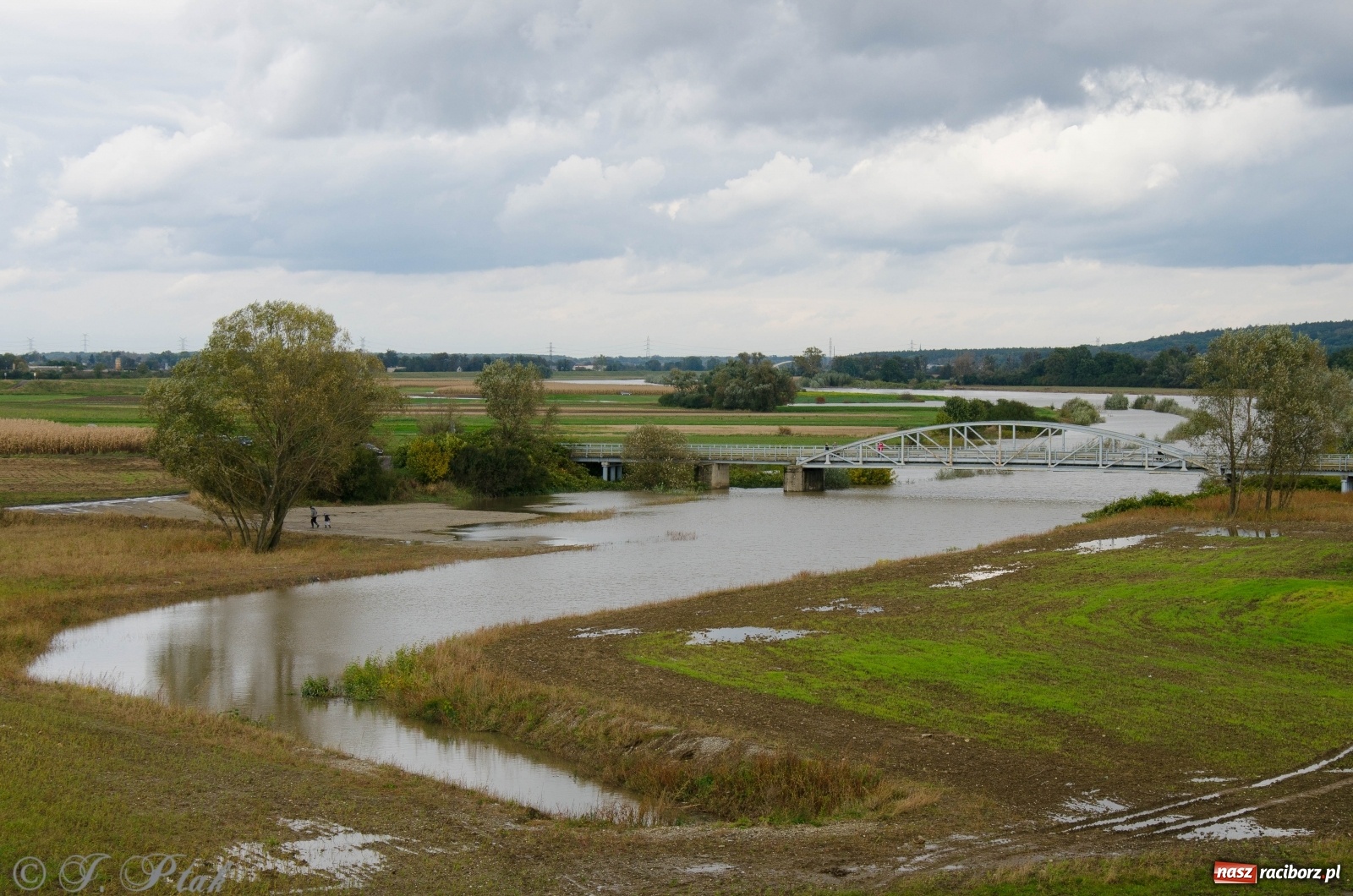 Zdjęcie w galerii na portalu naszraciborz.pl: Jak pracował zbiornik Racibórz Dolny? Wody Polskie podsumowują wiadomości z regionu