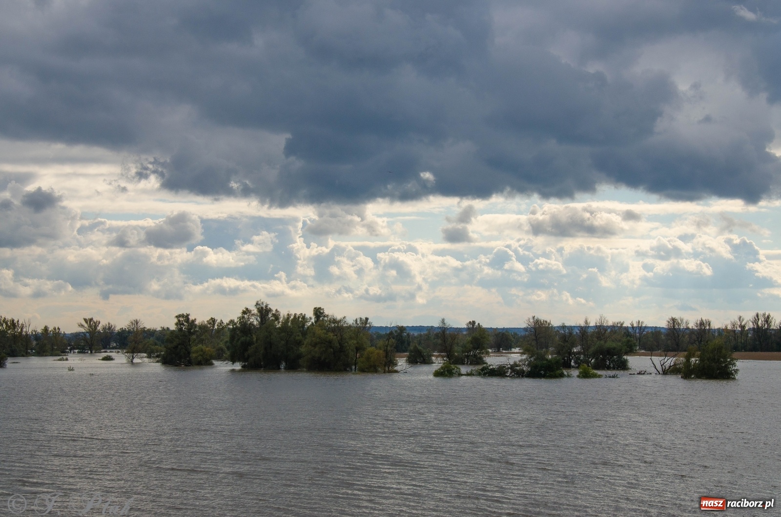 Zdjęcie w galerii na portalu naszraciborz.pl: Jak pracował zbiornik Racibórz Dolny? Wody Polskie podsumowują wiadomości z regionu