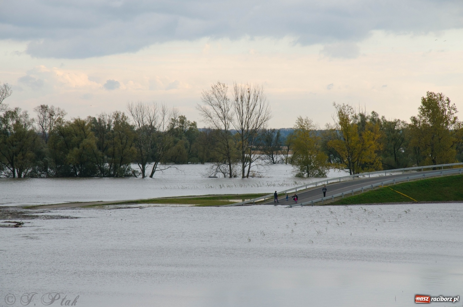 Zdjęcie w galerii na portalu naszraciborz.pl: Jak pracował zbiornik Racibórz Dolny? Wody Polskie podsumowują wiadomości z regionu