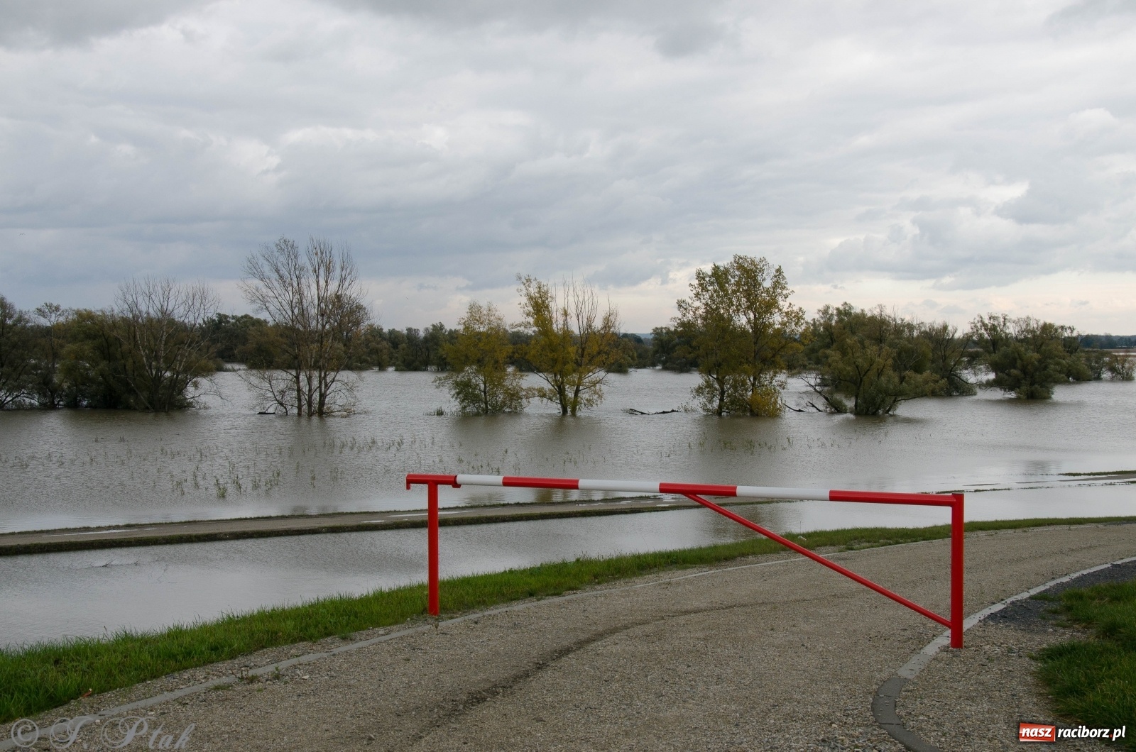 Zdjęcie w galerii na portalu naszraciborz.pl: Jak pracował zbiornik Racibórz Dolny? Wody Polskie podsumowują wiadomości z regionu