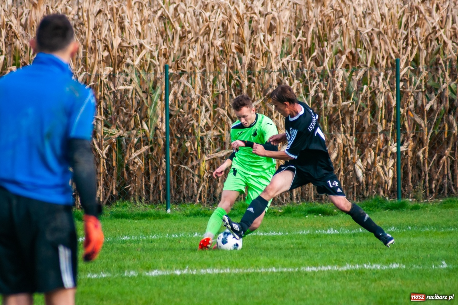 Zdjęcie w galerii na portalu naszraciborz.pl: C klasa. Wzmocnione Markowice nie sprostały wiceliderowi [FOTO] wiadomości z regionu