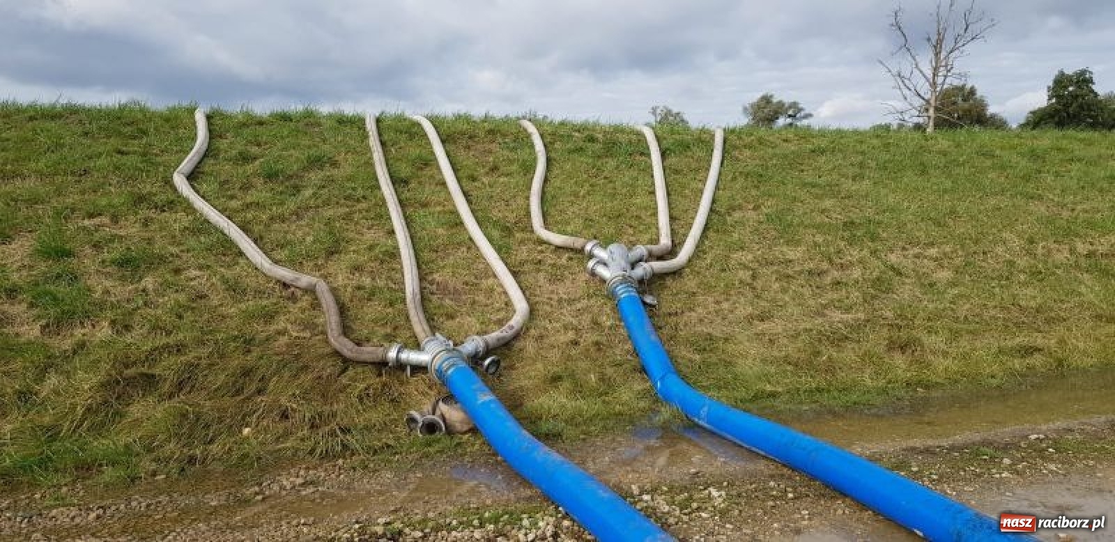 Zdjęcie w galerii na portalu naszraciborz.pl: Raport 998. Strażacki weekend pod znakiem pompowań wiadomości z regionu