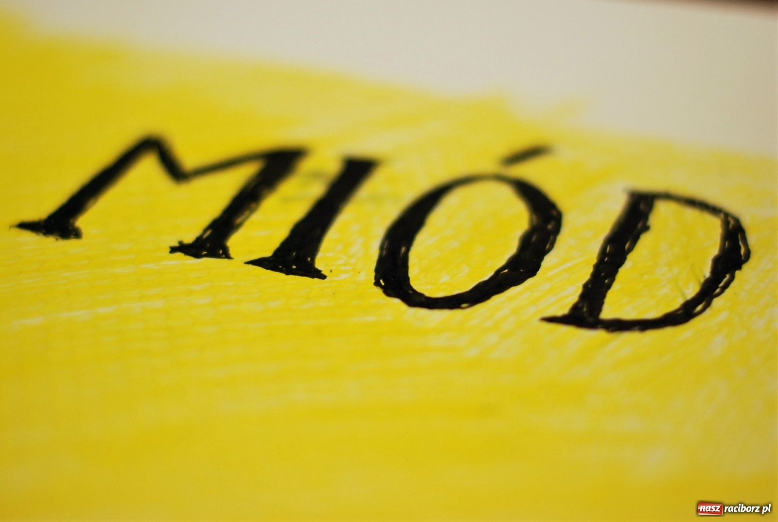 Zdjęcie w galerii na portalu naszraciborz.pl: Mała pszczoła, wielki problem. Warsztaty projektowania w Zawadzie Książęcej wiadomości z regionu