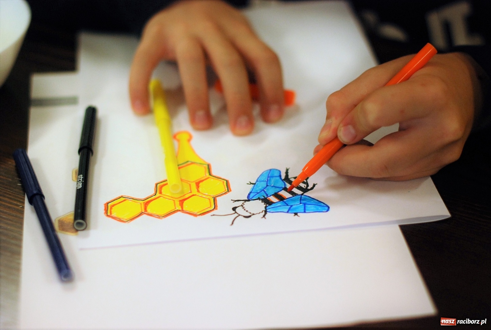 Zdjęcie w galerii na portalu naszraciborz.pl: Mała pszczoła, wielki problem. Warsztaty projektowania w Zawadzie Książęcej wiadomości z regionu