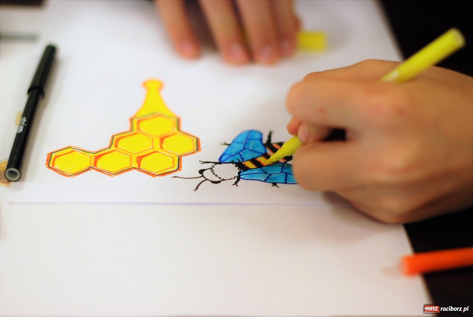 Zdjęcie w galerii na portalu naszraciborz.pl: Mała pszczoła, wielki problem. Warsztaty projektowania w Zawadzie Książęcej wiadomości z regionu