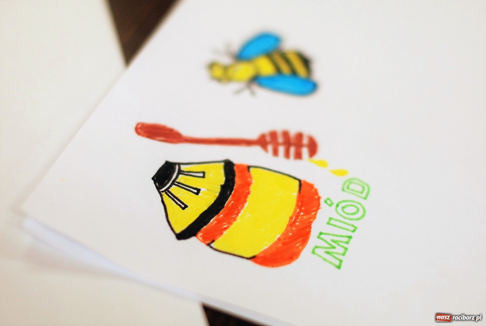 Zdjęcie w galerii na portalu naszraciborz.pl: Mała pszczoła, wielki problem. Warsztaty projektowania w Zawadzie Książęcej wiadomości z regionu