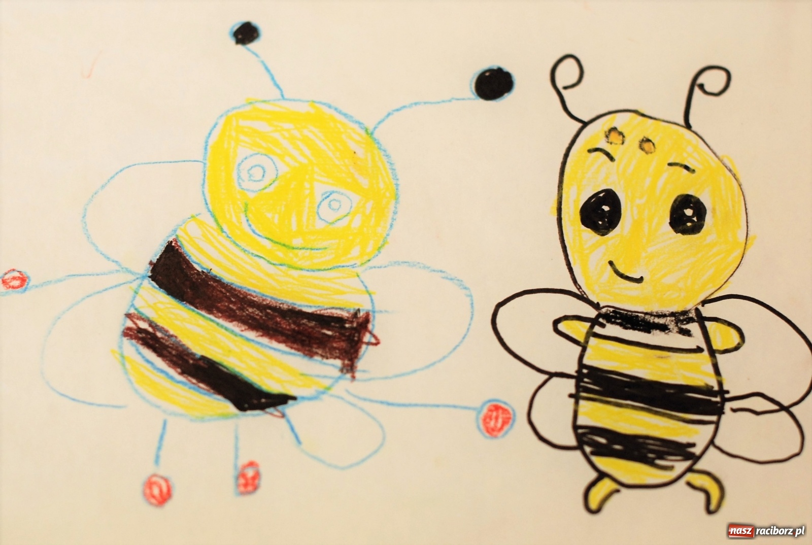 Zdjęcie w galerii na portalu naszraciborz.pl: Mała pszczoła, wielki problem. Warsztaty projektowania w Zawadzie Książęcej wiadomości z regionu