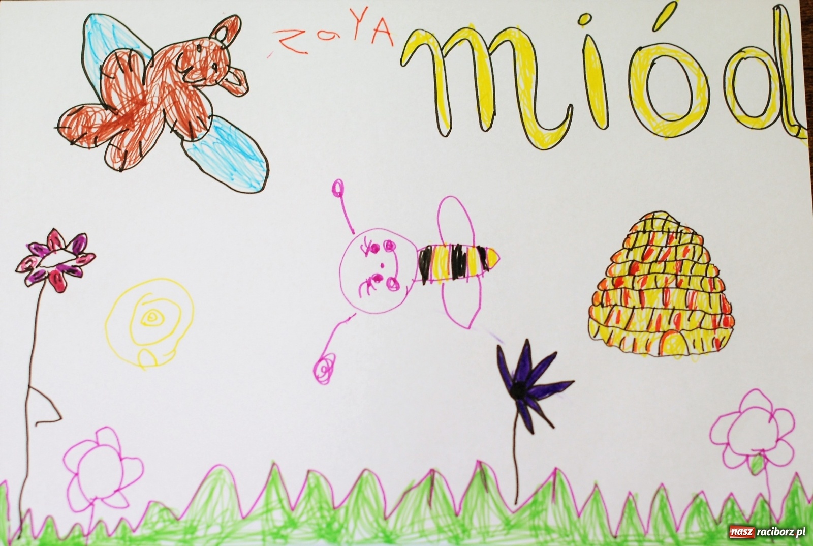 Zdjęcie w galerii na portalu naszraciborz.pl: Mała pszczoła, wielki problem. Warsztaty projektowania w Zawadzie Książęcej wiadomości z regionu