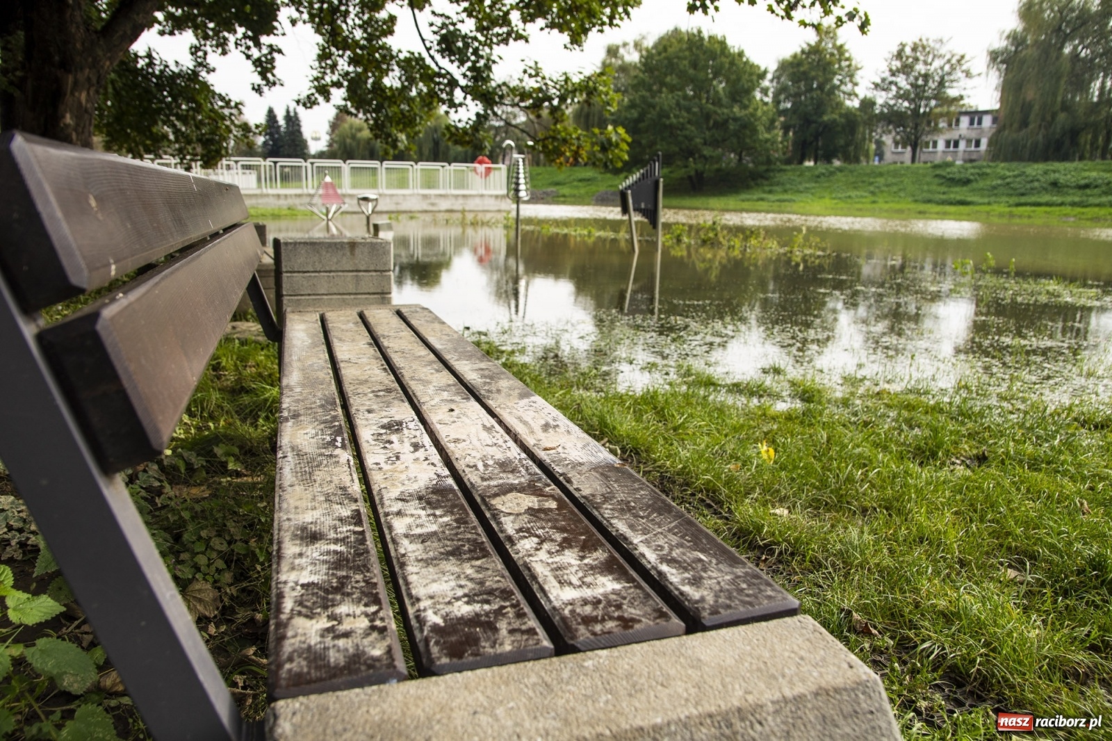 Zdjęcie w galerii na portalu naszraciborz.pl: Wojewoda odwołał pogotowie przeciwpowodziowe. Bulwary w opłakanym stanie wiadomości z regionu