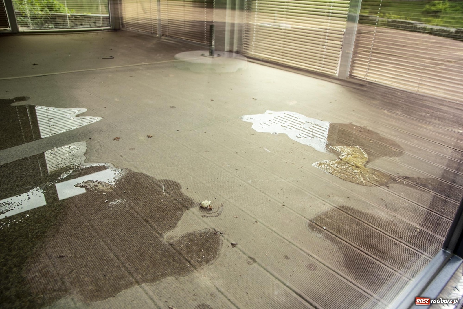 Zdjęcie w galerii na portalu naszraciborz.pl: Wojewoda odwołał pogotowie przeciwpowodziowe. Bulwary w opłakanym stanie wiadomości z regionu