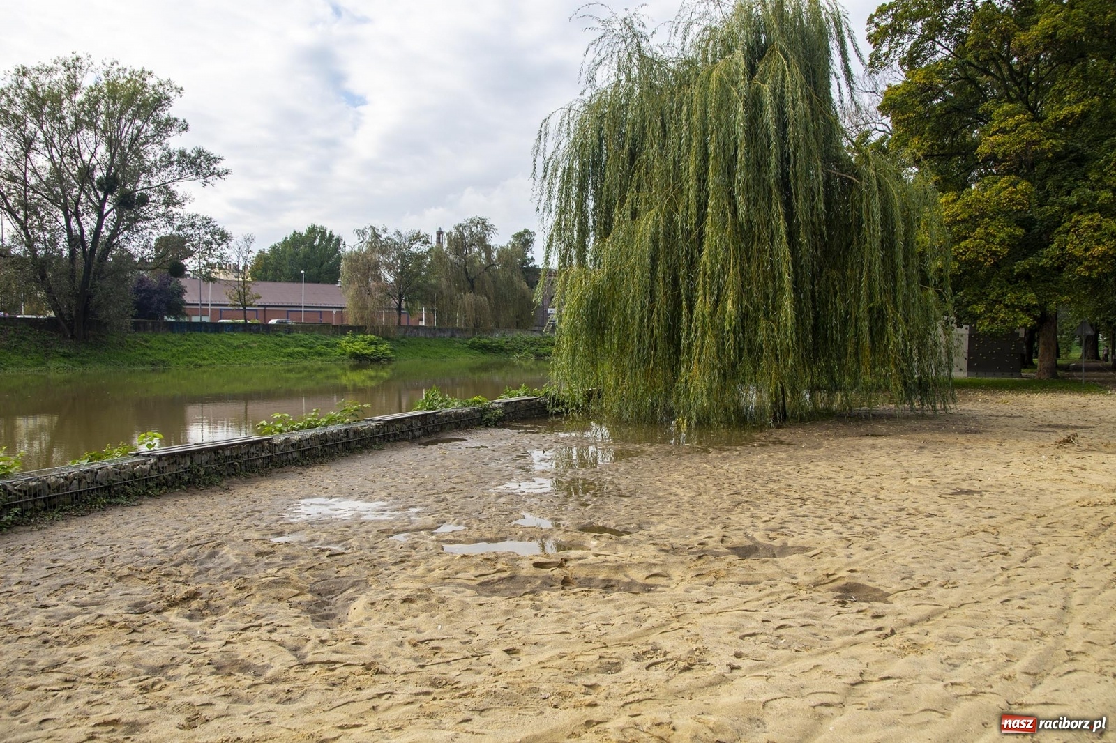Zdjęcie w galerii na portalu naszraciborz.pl: Wojewoda odwołał pogotowie przeciwpowodziowe. Bulwary w opłakanym stanie wiadomości z regionu