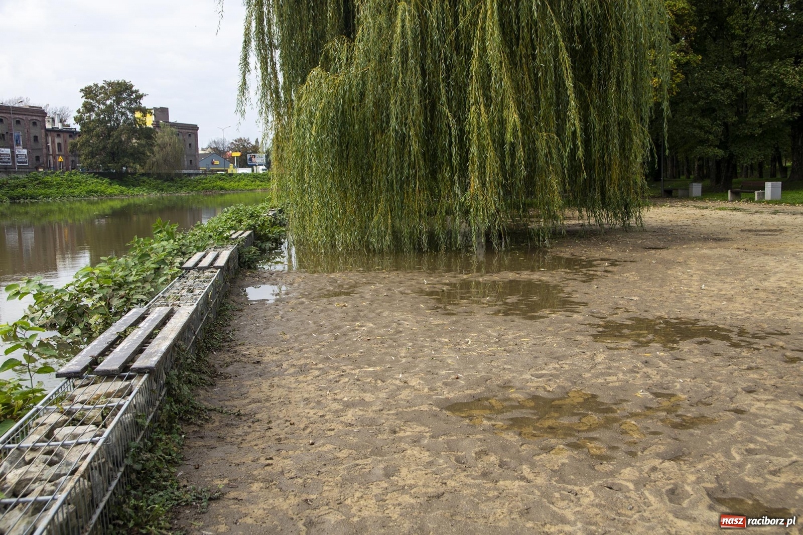 Zdjęcie w galerii na portalu naszraciborz.pl: Wojewoda odwołał pogotowie przeciwpowodziowe. Bulwary w opłakanym stanie wiadomości z regionu