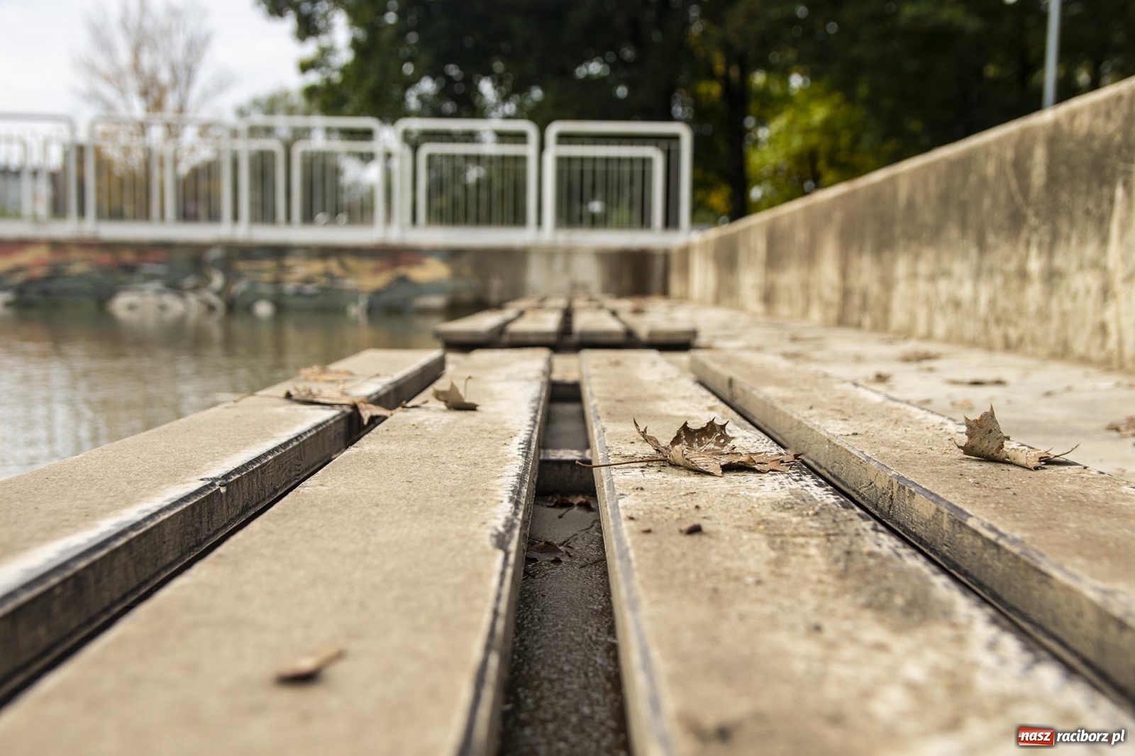 Zdjęcie w galerii na portalu naszraciborz.pl: Wojewoda odwołał pogotowie przeciwpowodziowe. Bulwary w opłakanym stanie wiadomości z regionu