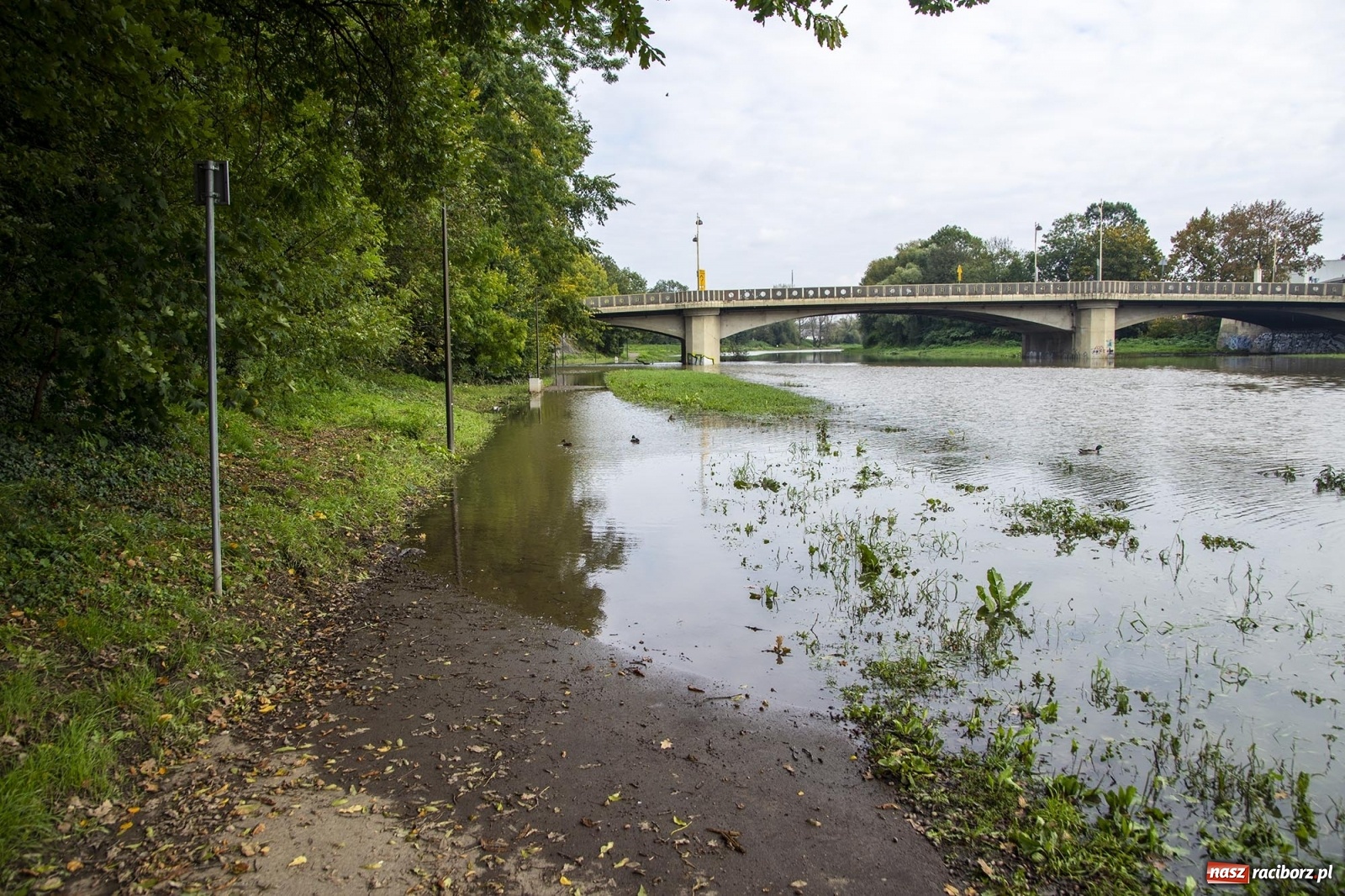 Zdjęcie w galerii na portalu naszraciborz.pl: Wojewoda odwołał pogotowie przeciwpowodziowe. Bulwary w opłakanym stanie wiadomości z regionu