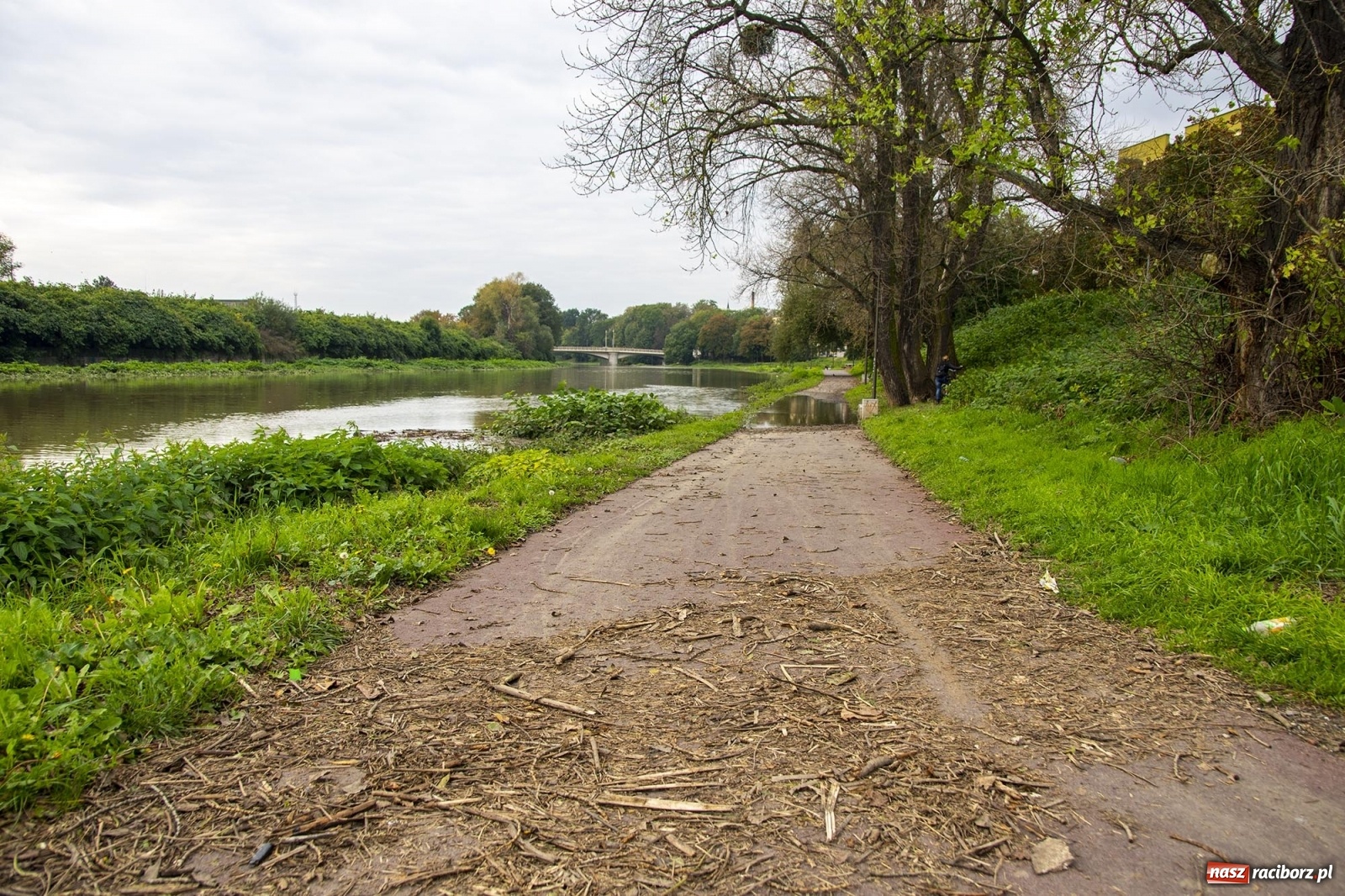 Zdjęcie w galerii na portalu naszraciborz.pl: Wojewoda odwołał pogotowie przeciwpowodziowe. Bulwary w opłakanym stanie wiadomości z regionu