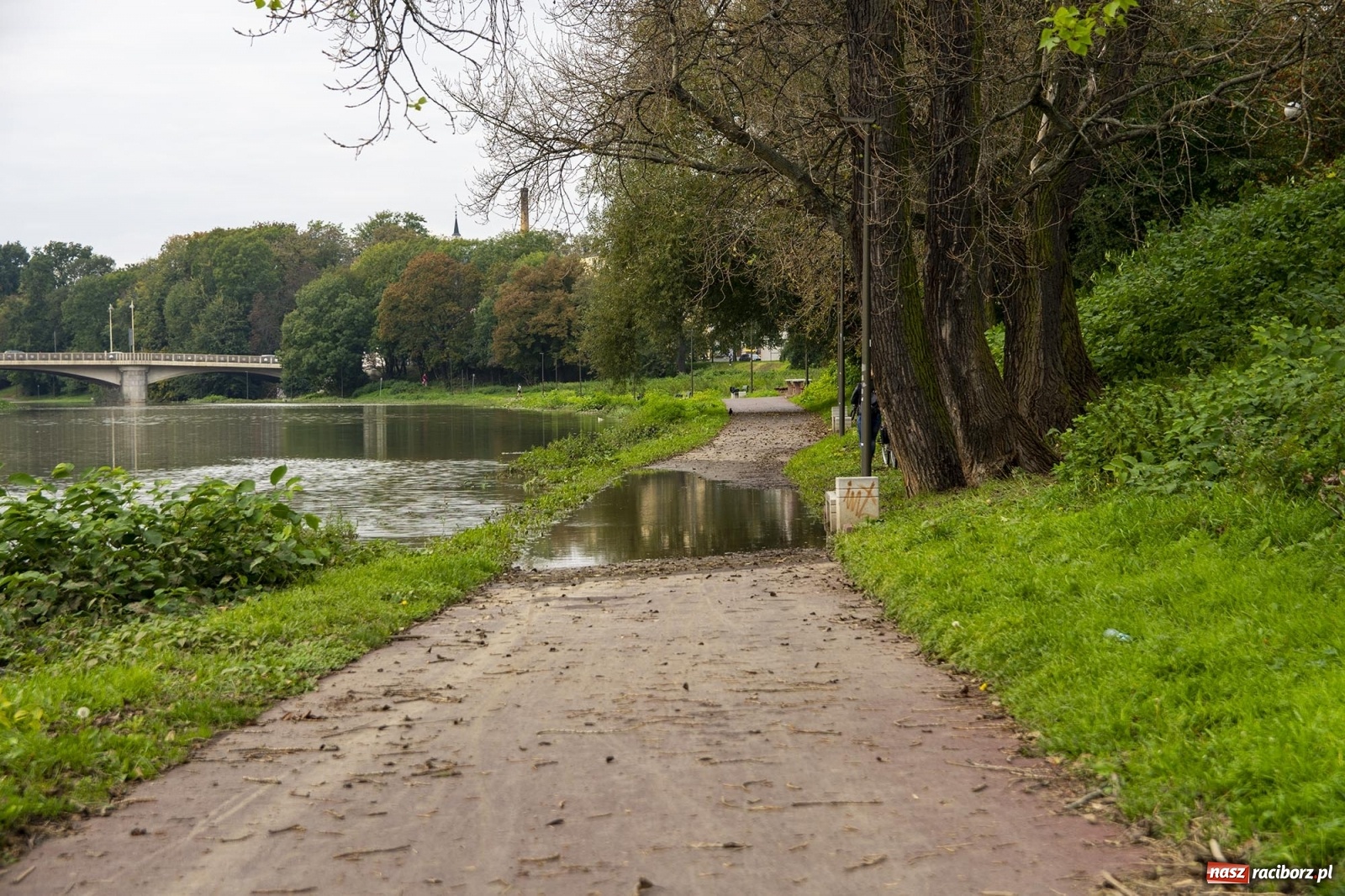 Zdjęcie w galerii na portalu naszraciborz.pl: Wojewoda odwołał pogotowie przeciwpowodziowe. Bulwary w opłakanym stanie wiadomości z regionu