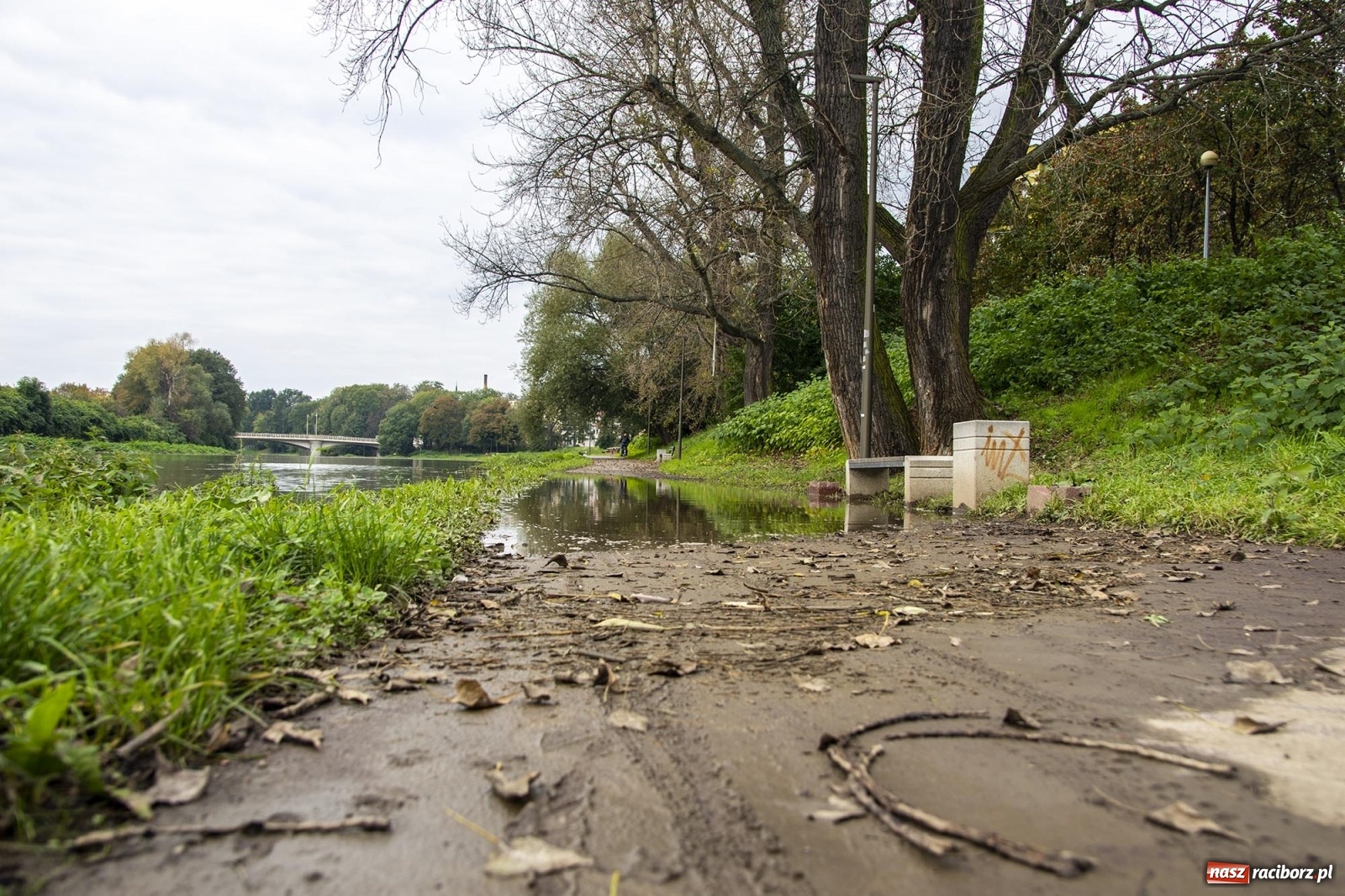 Zdjęcie w galerii na portalu naszraciborz.pl: Wojewoda odwołał pogotowie przeciwpowodziowe. Bulwary w opłakanym stanie wiadomości z regionu