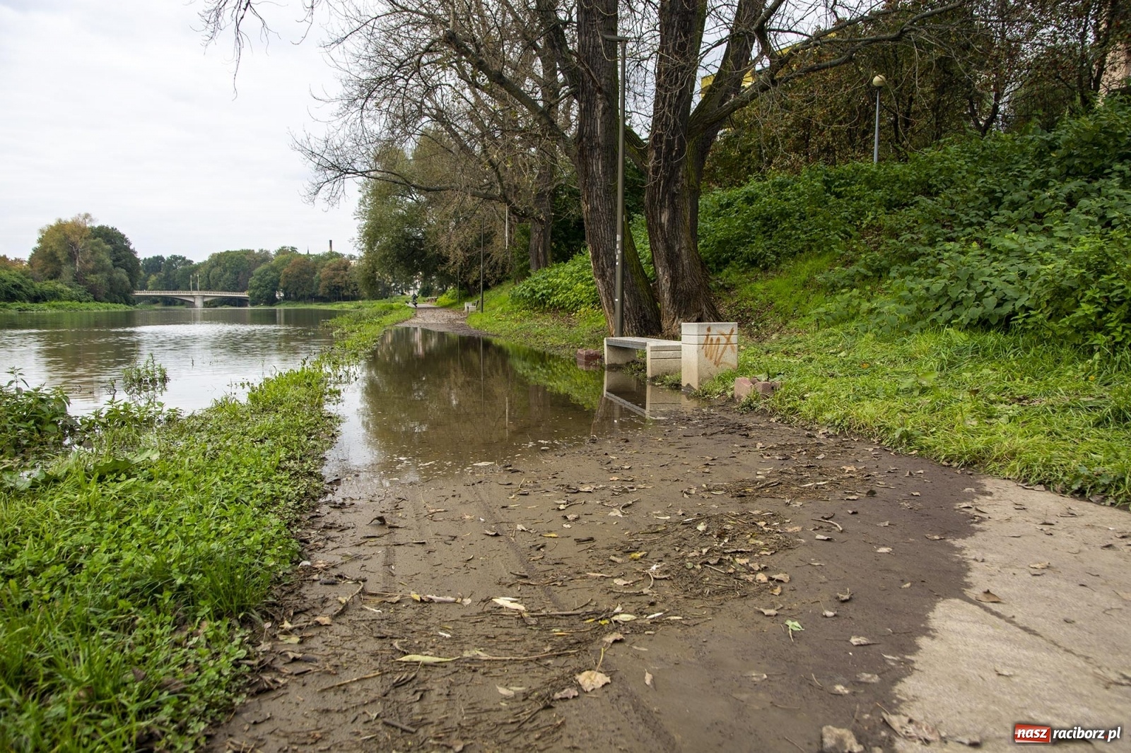 Zdjęcie w galerii na portalu naszraciborz.pl: Wojewoda odwołał pogotowie przeciwpowodziowe. Bulwary w opłakanym stanie wiadomości z regionu