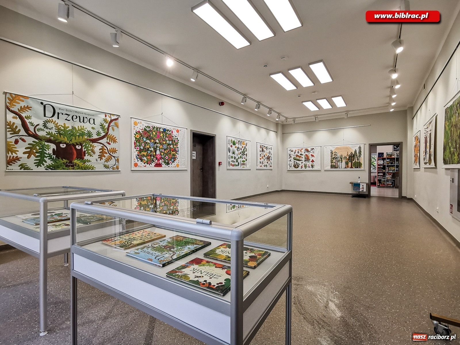 Zdjęcie w galerii na portalu naszraciborz.pl: Wystawa Drzewa w raciborskiej bibliotece wiadomości z regionu