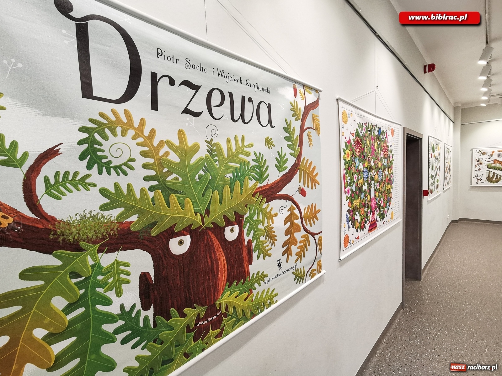 Zdjęcie w galerii na portalu naszraciborz.pl: Wystawa Drzewa w raciborskiej bibliotece wiadomości z regionu