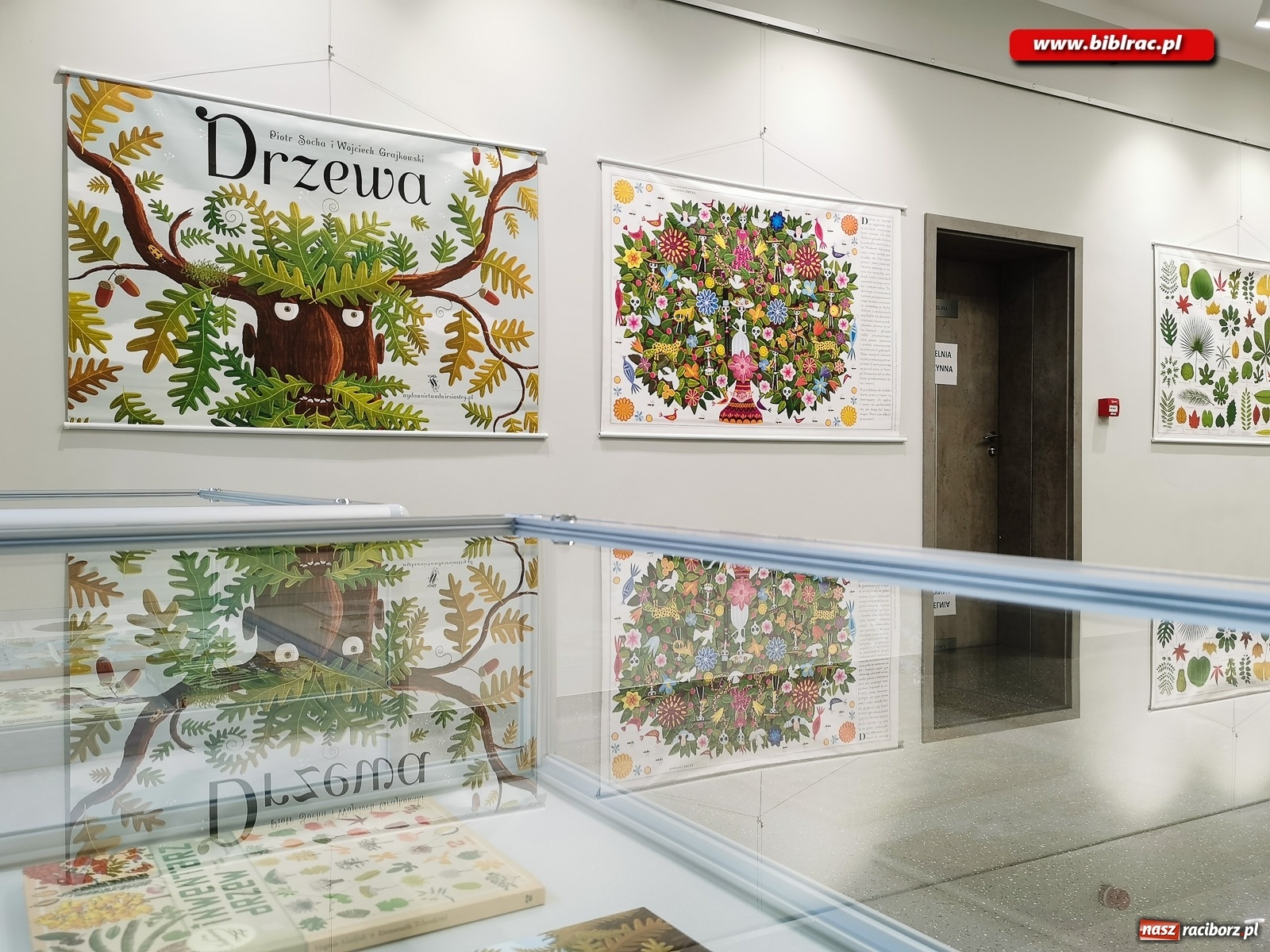Zdjęcie w galerii na portalu naszraciborz.pl: Wystawa Drzewa w raciborskiej bibliotece wiadomości z regionu