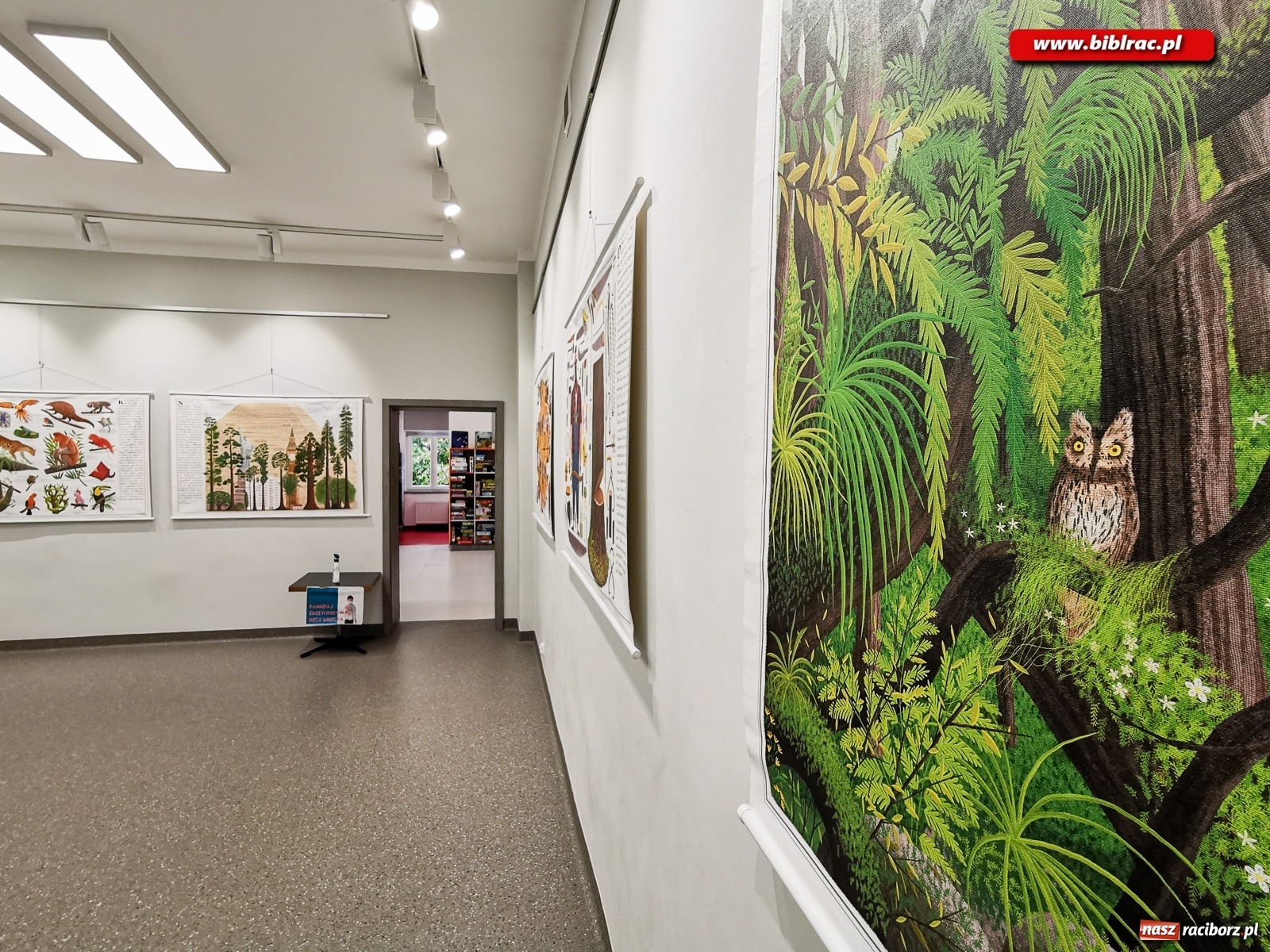 Zdjęcie w galerii na portalu naszraciborz.pl: Wystawa Drzewa w raciborskiej bibliotece wiadomości z regionu