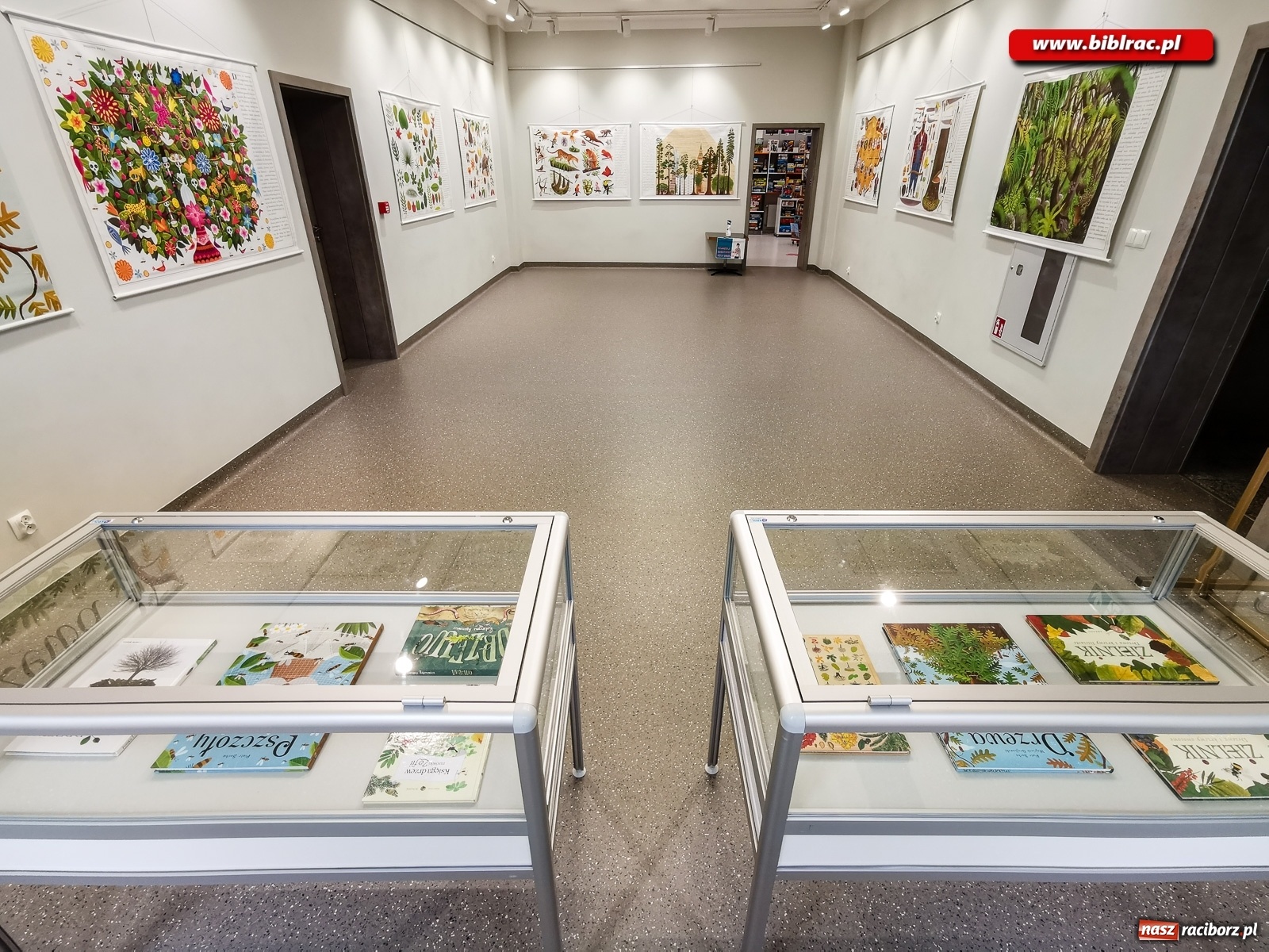 Zdjęcie w galerii na portalu naszraciborz.pl: Wystawa Drzewa w raciborskiej bibliotece wiadomości z regionu