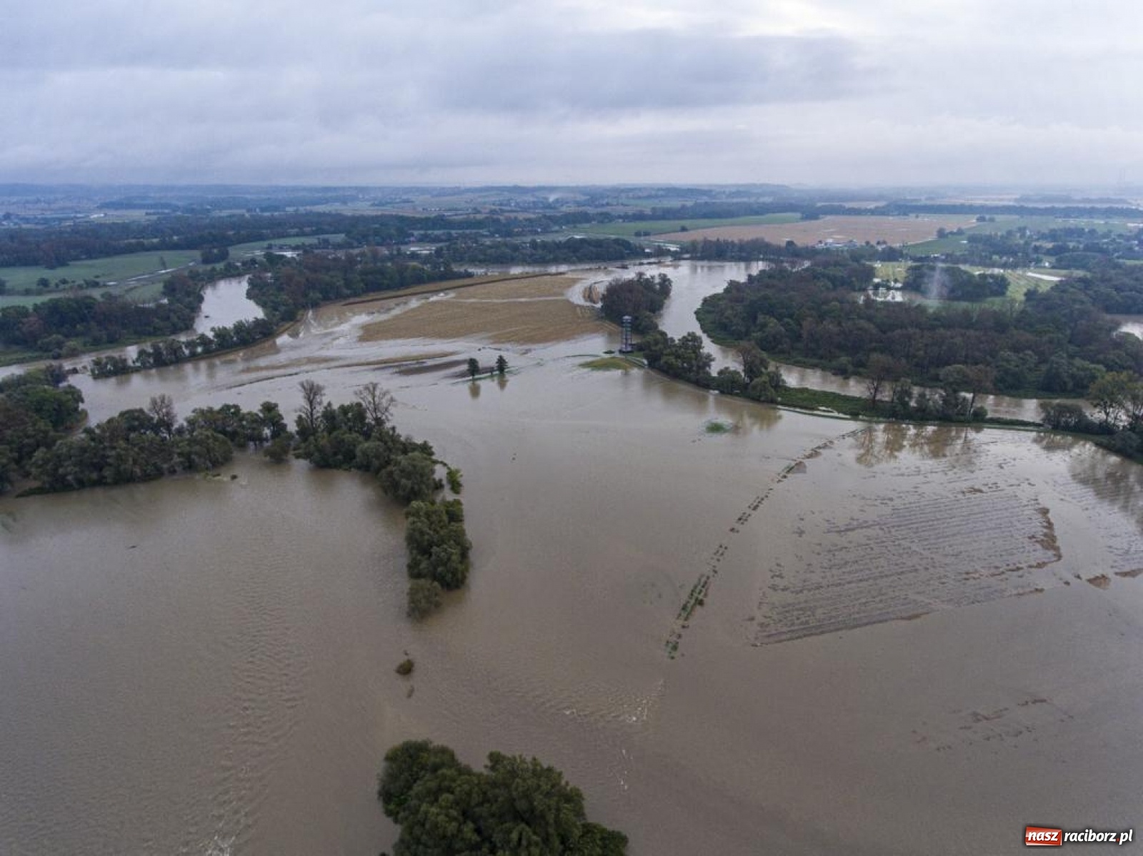 Zdjęcie w galerii na portalu naszraciborz.pl: Meandry Odry to teraz jedno wielkie rozlewisko. Ścieżka rowerowa zamknięta [FOTO] wiadomości z regionu