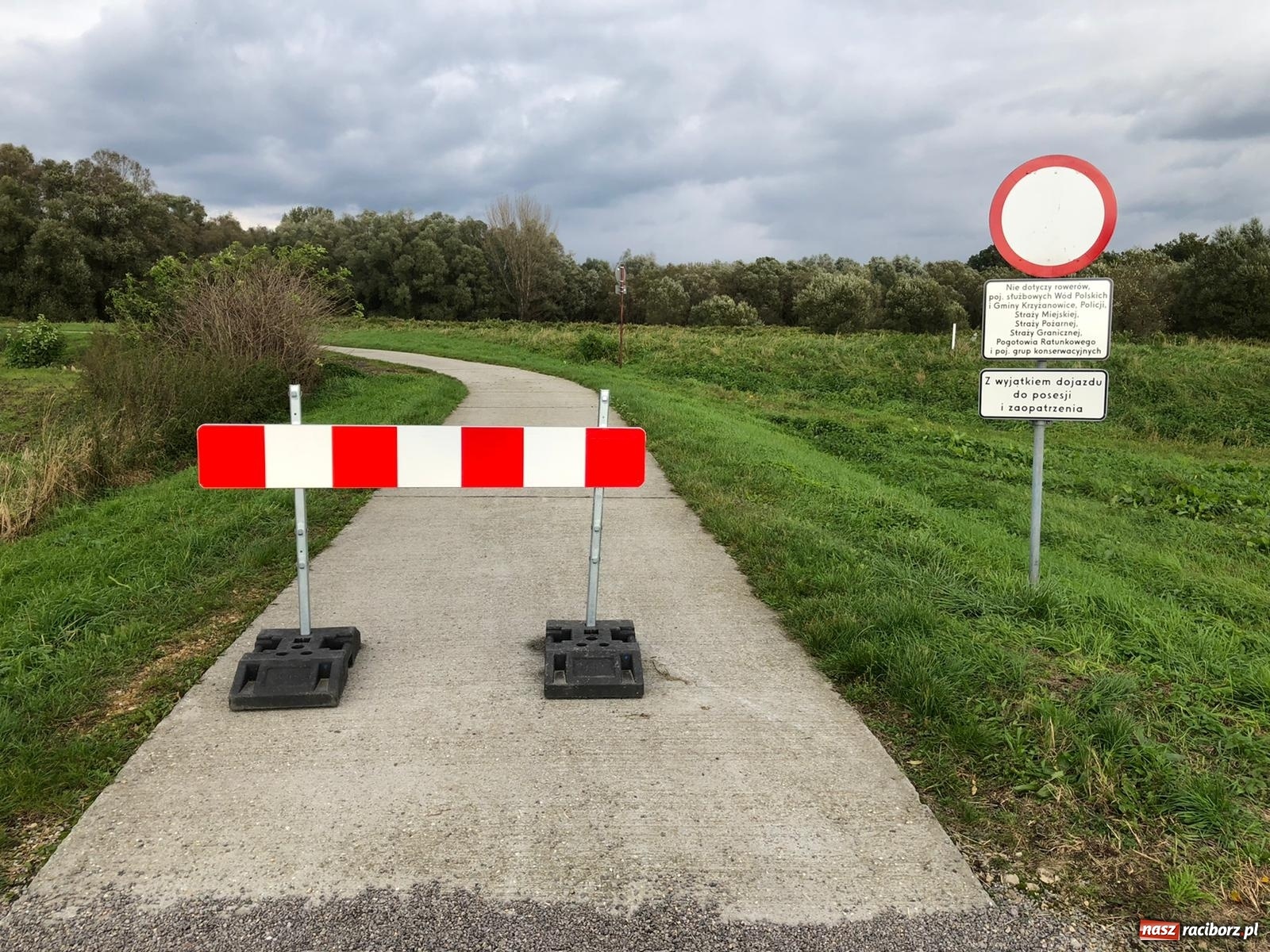 Zdjęcie w galerii na portalu naszraciborz.pl: Meandry Odry to teraz jedno wielkie rozlewisko. Ścieżka rowerowa zamknięta [FOTO] wiadomości z regionu