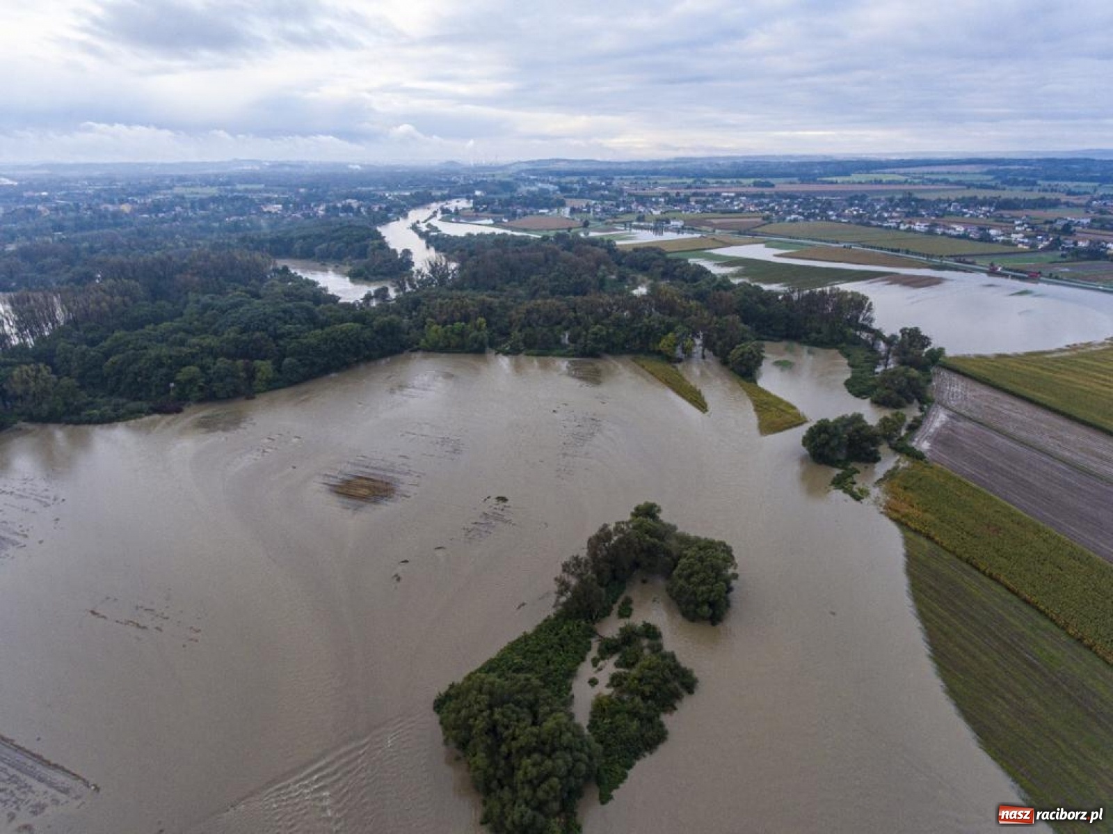 Zdjęcie w galerii na portalu naszraciborz.pl: Meandry Odry to teraz jedno wielkie rozlewisko. Ścieżka rowerowa zamknięta [FOTO] wiadomości z regionu