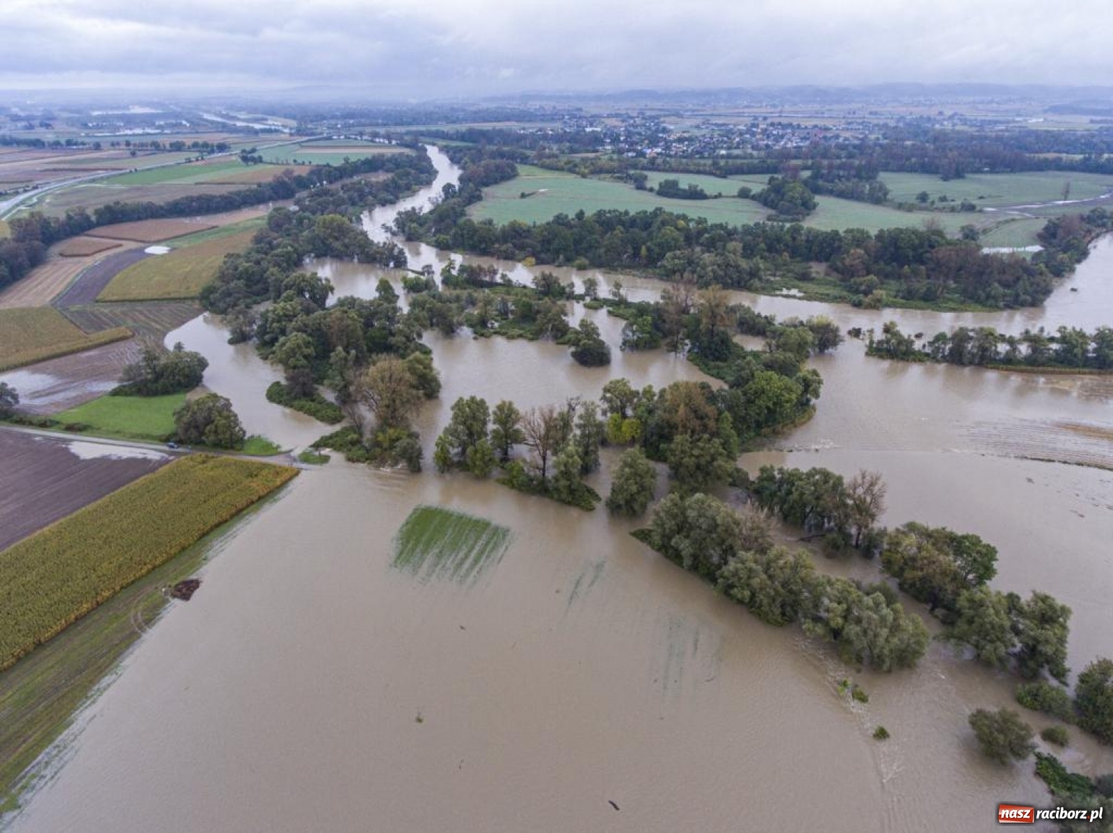 Zdjęcie w galerii na portalu naszraciborz.pl: Meandry Odry to teraz jedno wielkie rozlewisko. Ścieżka rowerowa zamknięta [FOTO] wiadomości z regionu