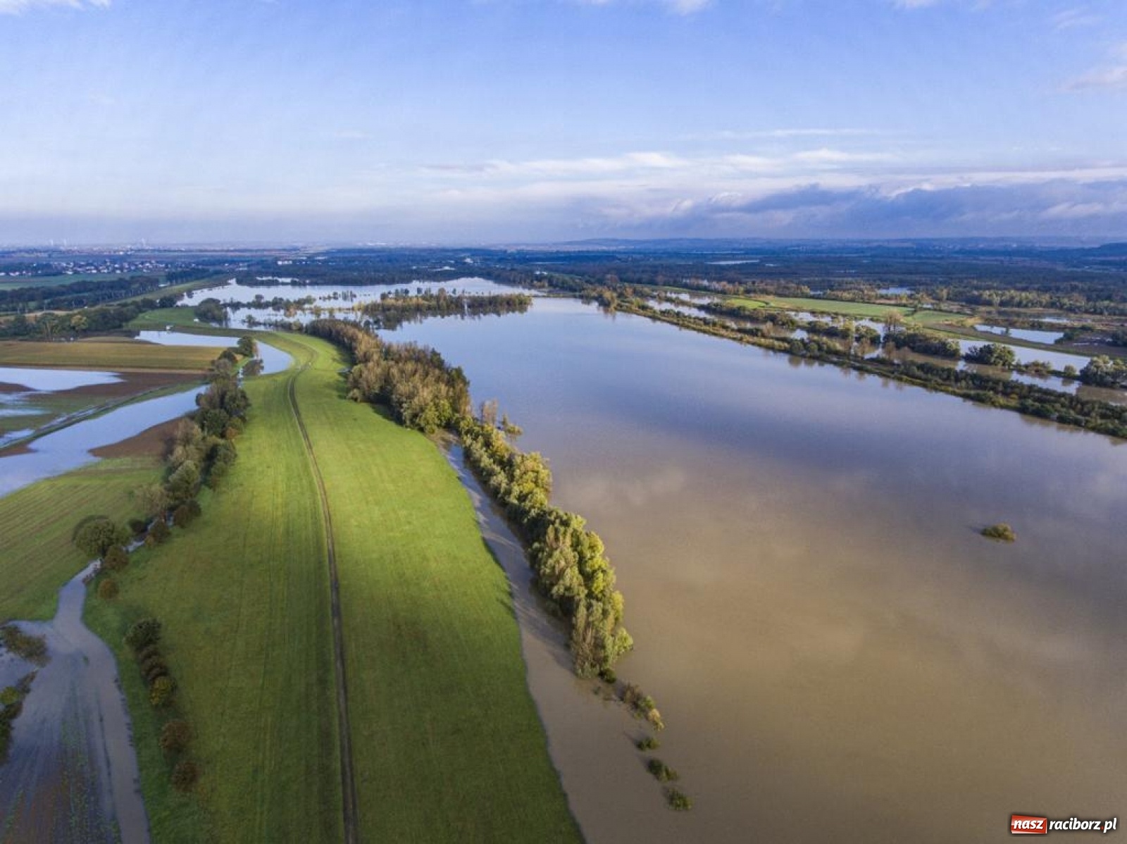 Zdjęcie w galerii na portalu naszraciborz.pl: Meandry Odry to teraz jedno wielkie rozlewisko. Ścieżka rowerowa zamknięta [FOTO] wiadomości z regionu