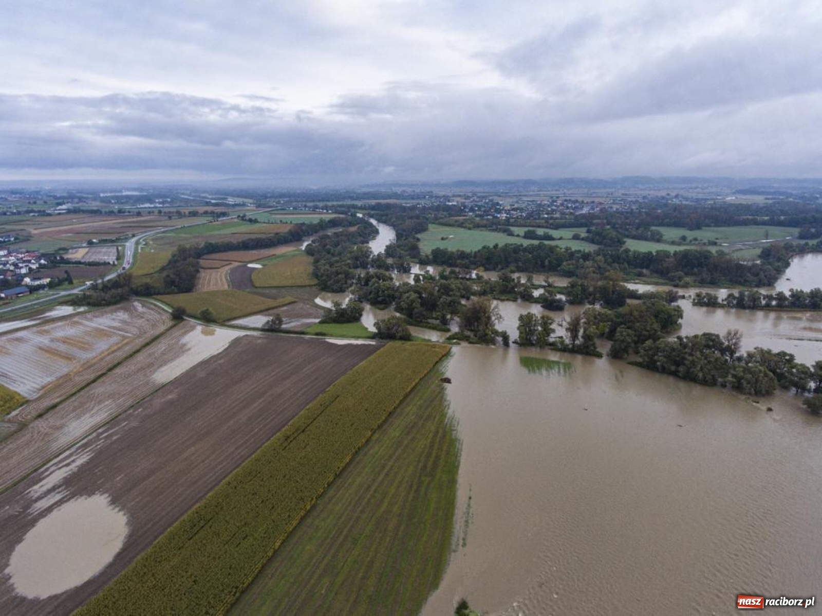 Zdjęcie w galerii na portalu naszraciborz.pl: Meandry Odry to teraz jedno wielkie rozlewisko. Ścieżka rowerowa zamknięta [FOTO] wiadomości z regionu