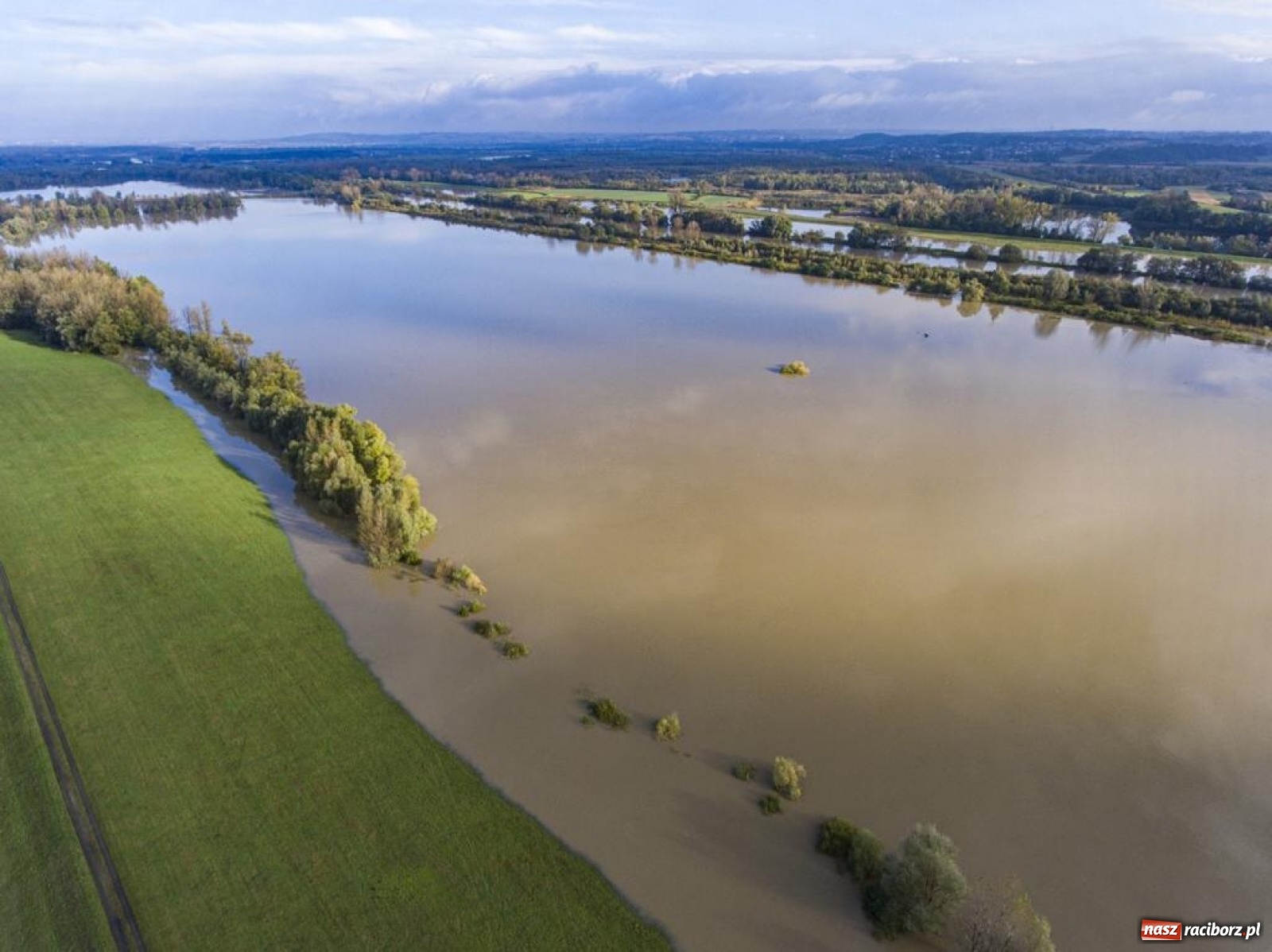 Zdjęcie w galerii na portalu naszraciborz.pl: Meandry Odry to teraz jedno wielkie rozlewisko. Ścieżka rowerowa zamknięta [FOTO] wiadomości z regionu