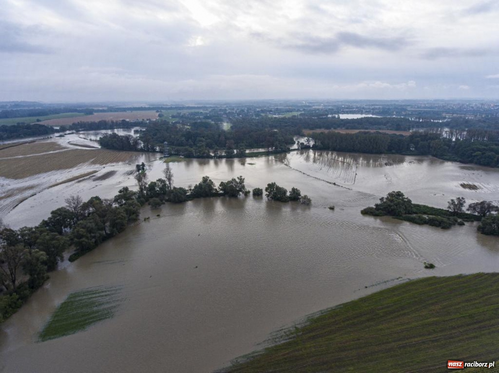 Zdjęcie w galerii na portalu naszraciborz.pl: Meandry Odry to teraz jedno wielkie rozlewisko. Ścieżka rowerowa zamknięta [FOTO] wiadomości z regionu