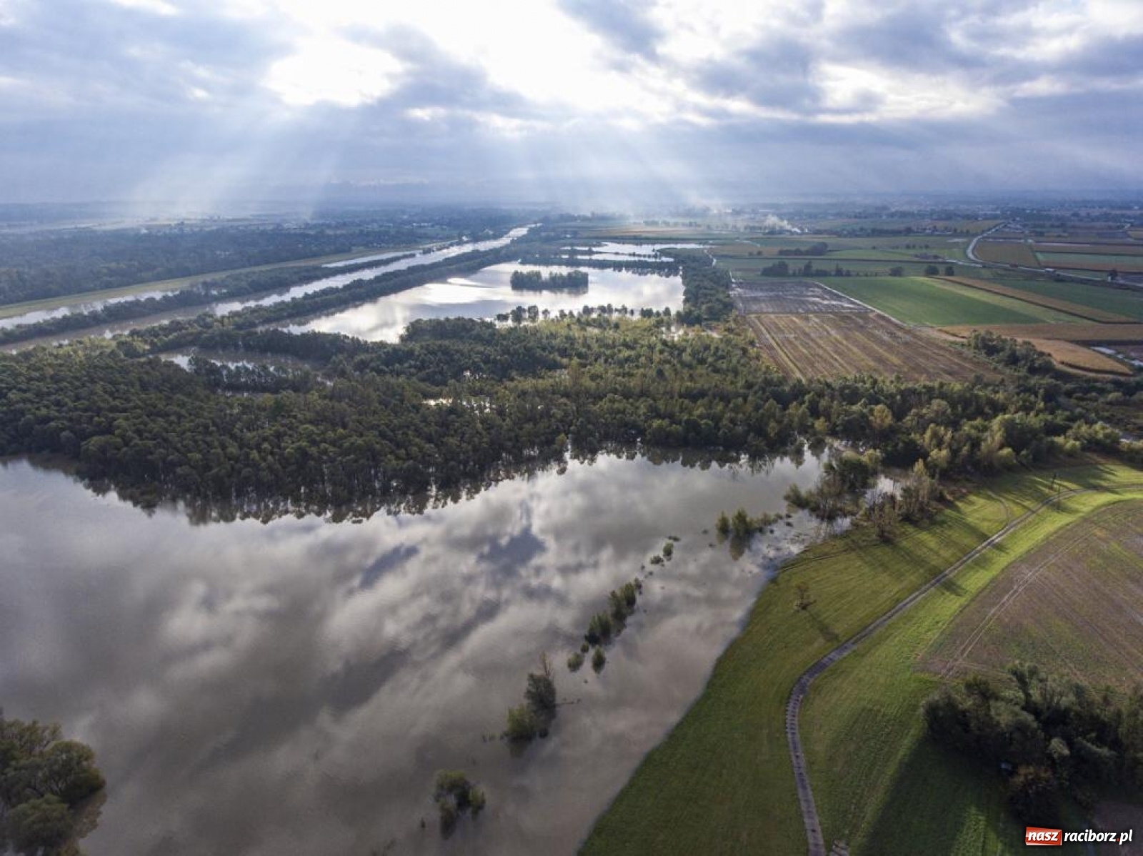 Zdjęcie w galerii na portalu naszraciborz.pl: Meandry Odry to teraz jedno wielkie rozlewisko. Ścieżka rowerowa zamknięta [FOTO] wiadomości z regionu