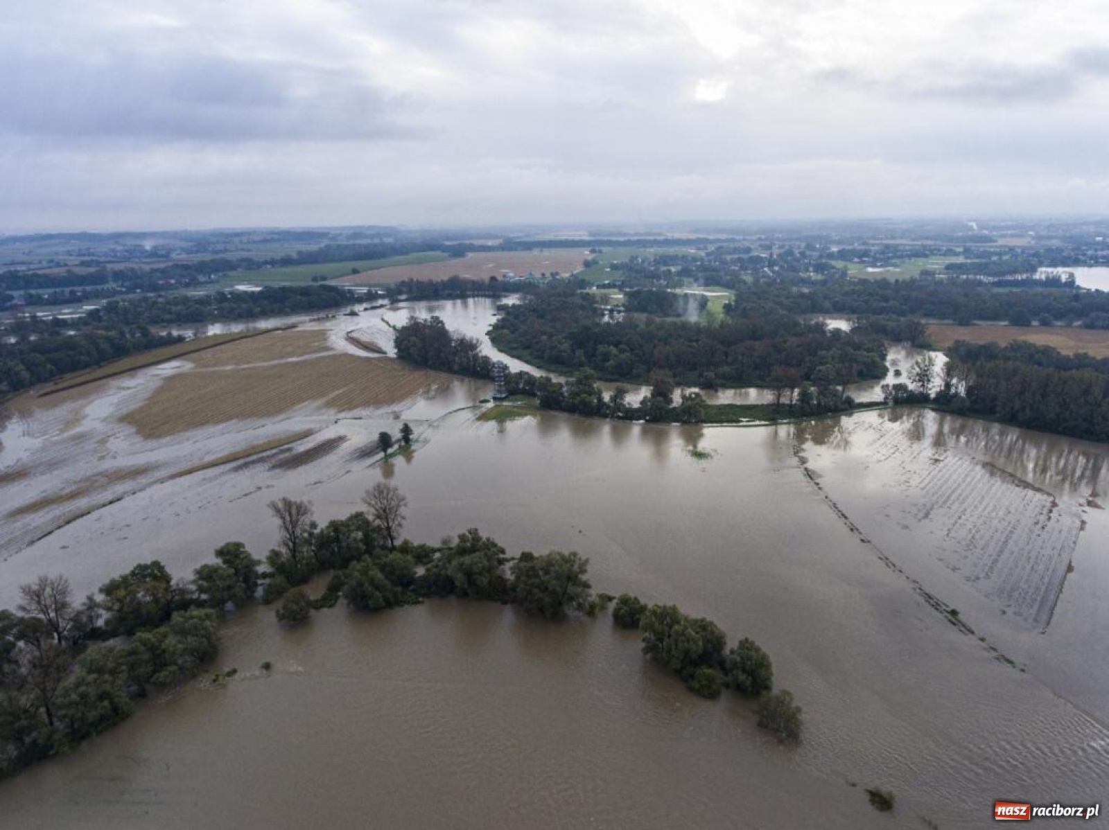 Zdjęcie w galerii na portalu naszraciborz.pl: Meandry Odry to teraz jedno wielkie rozlewisko. Ścieżka rowerowa zamknięta [FOTO] wiadomości z regionu