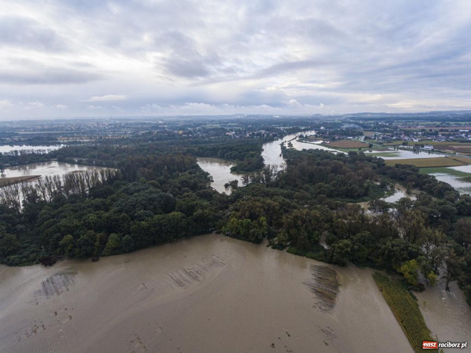Zdjęcie w galerii na portalu naszraciborz.pl: Meandry Odry to teraz jedno wielkie rozlewisko. Ścieżka rowerowa zamknięta [FOTO] wiadomości z regionu