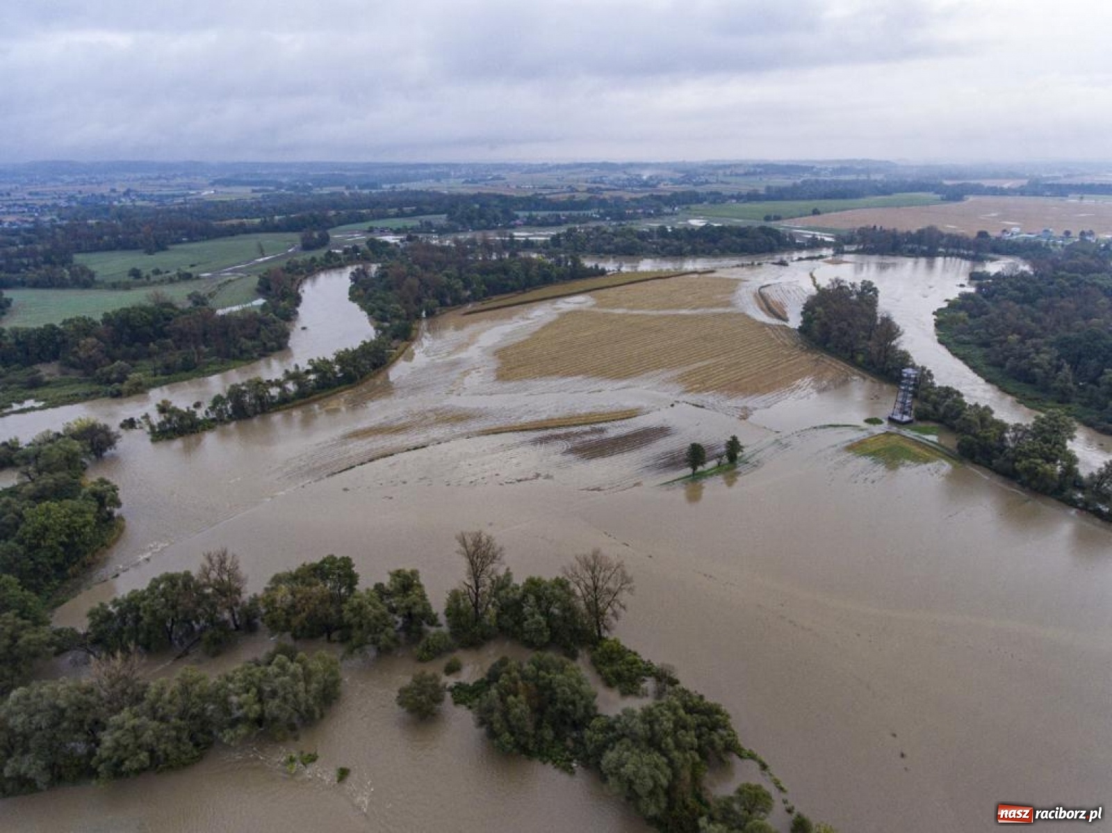 Zdjęcie w galerii na portalu naszraciborz.pl: Meandry Odry to teraz jedno wielkie rozlewisko. Ścieżka rowerowa zamknięta [FOTO] wiadomości z regionu