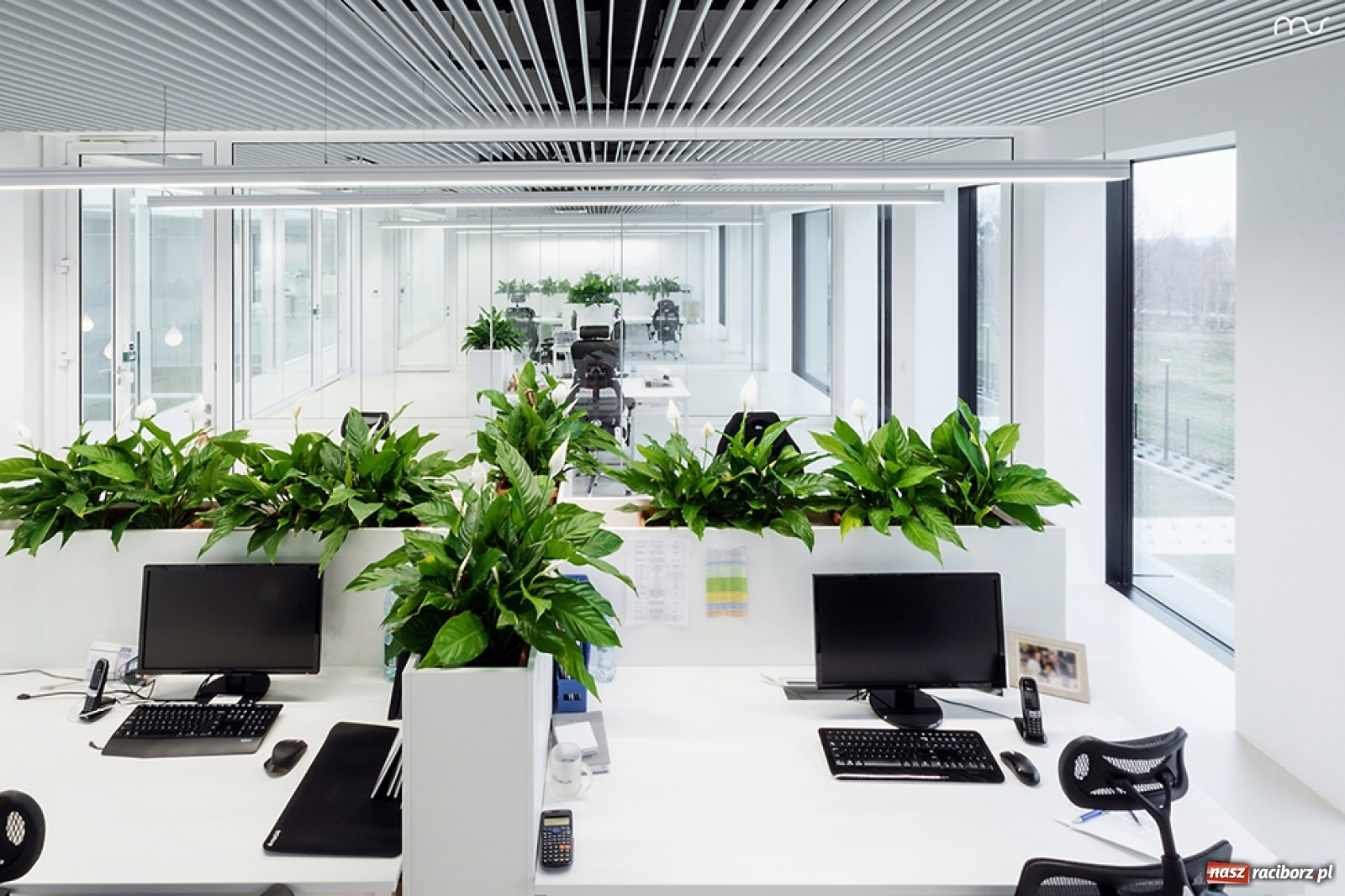 Zdjęcie w galerii na portalu naszraciborz.pl: Praca w Babicach – aplikuj do Pivexin Technology wiadomości z regionu