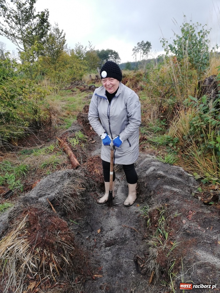 Zdjęcie w galerii na portalu naszraciborz.pl: Fundacja Mój Las posadziła w Kuźni Rac. ponad 2000 drzew  wiadomości z regionu