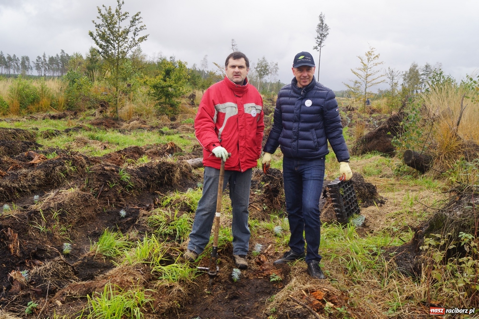 Zdjęcie w galerii na portalu naszraciborz.pl: Fundacja Mój Las posadziła w Kuźni Rac. ponad 2000 drzew  wiadomości z regionu