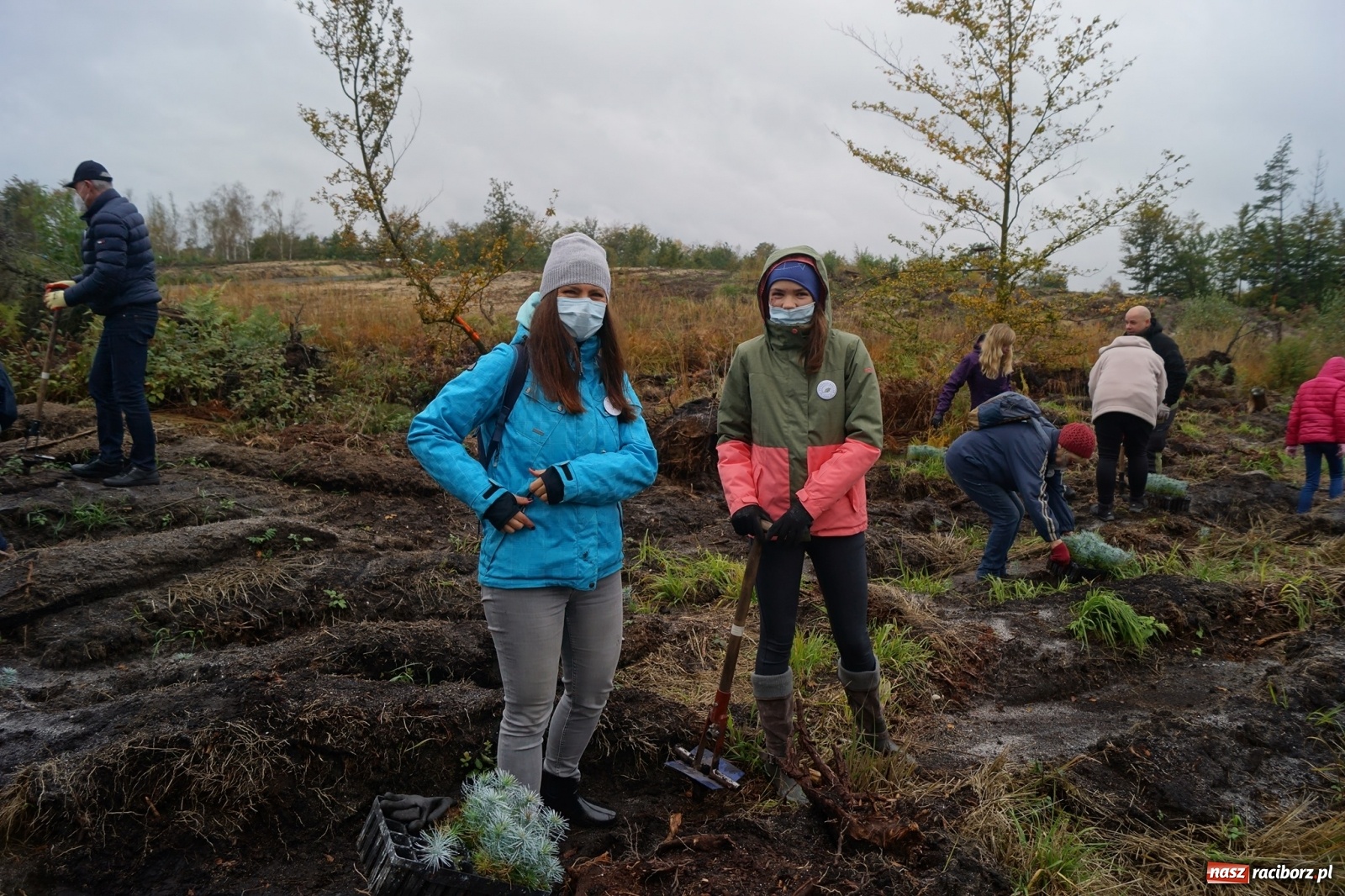 Zdjęcie w galerii na portalu naszraciborz.pl: Fundacja Mój Las posadziła w Kuźni Rac. ponad 2000 drzew  wiadomości z regionu